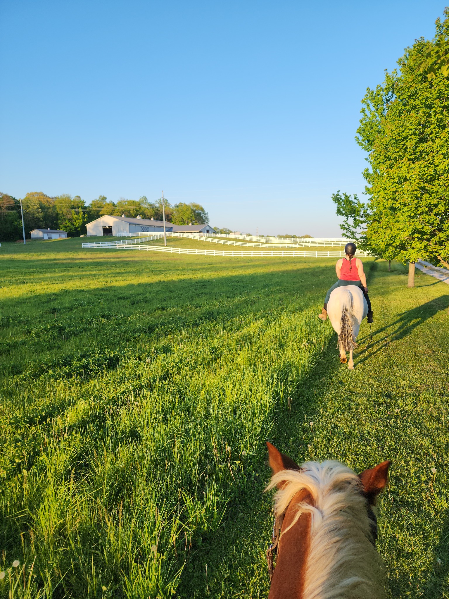 Windsor Stables
