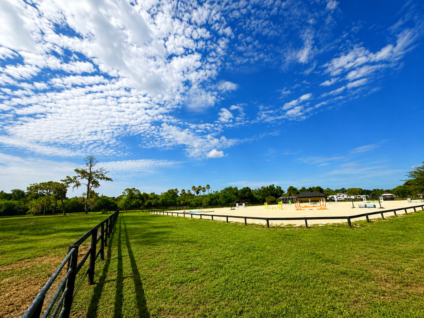 Show Arena