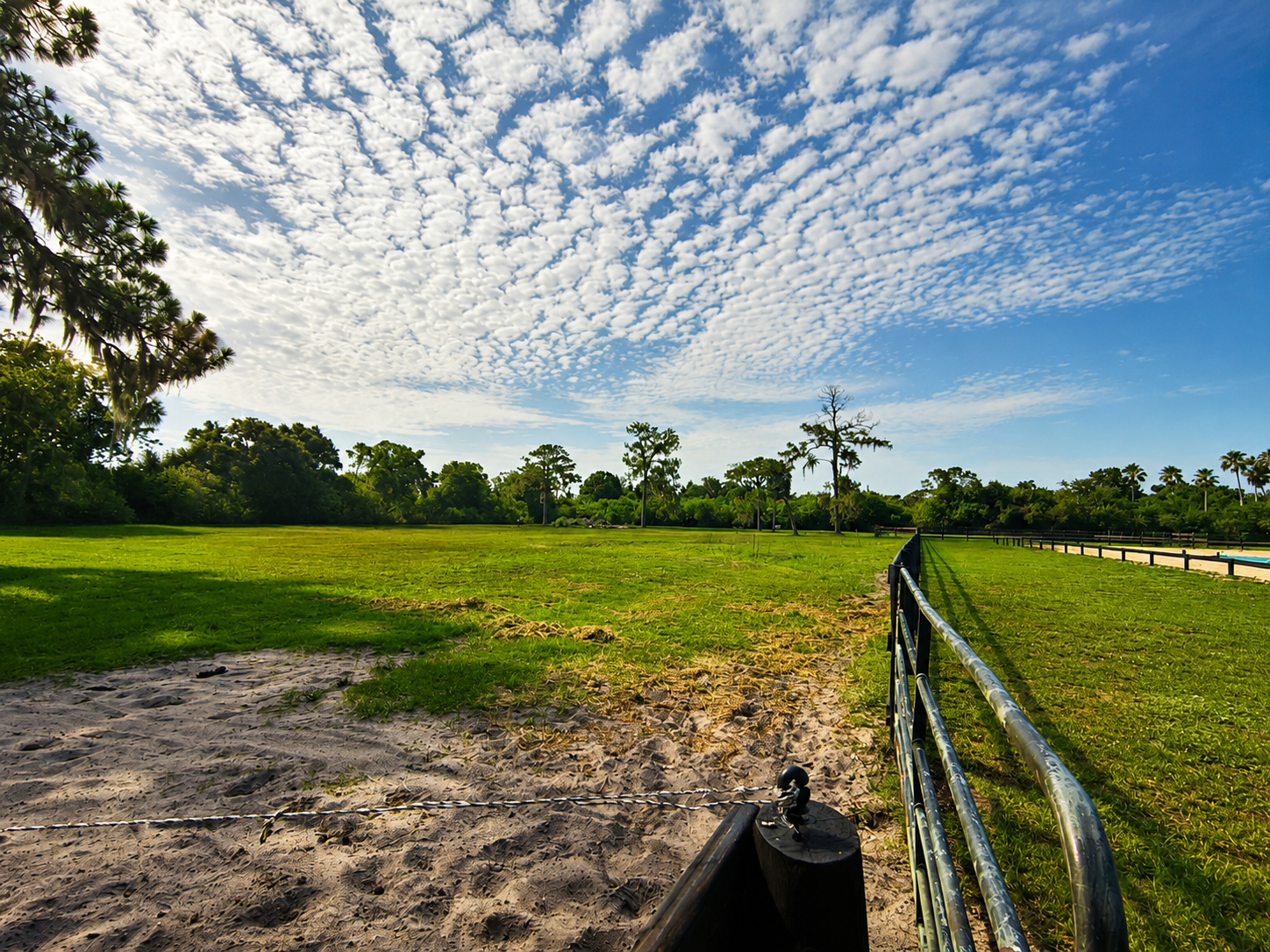Pastures and Paddocks