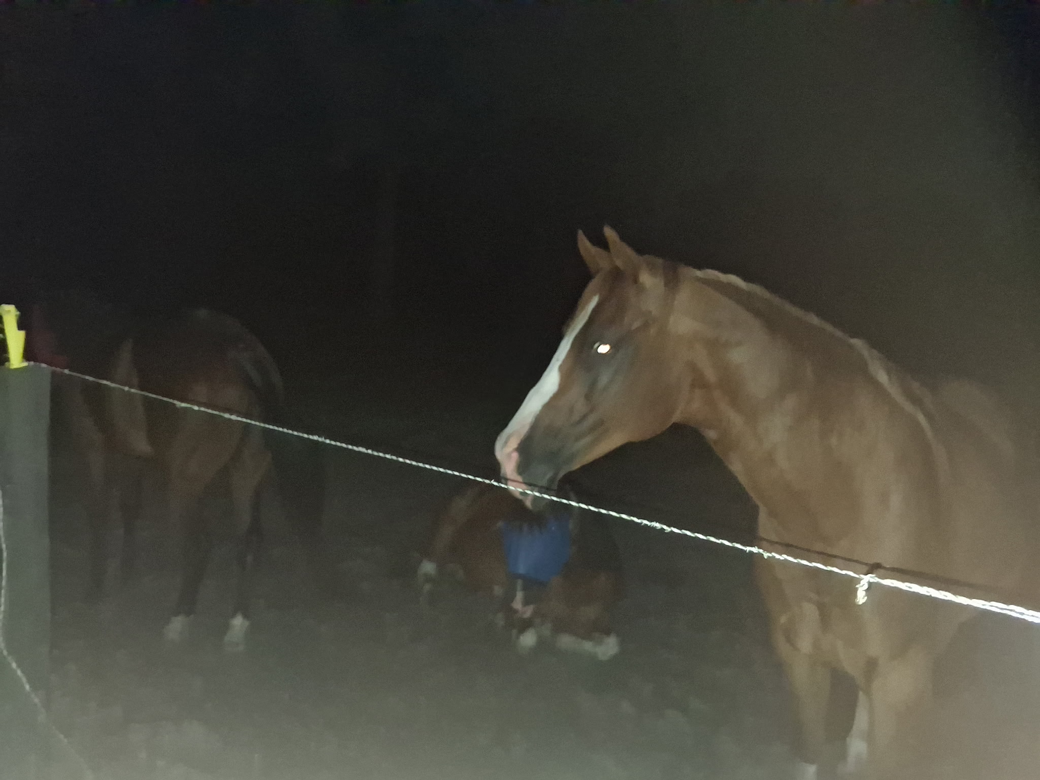 Nighttime Security