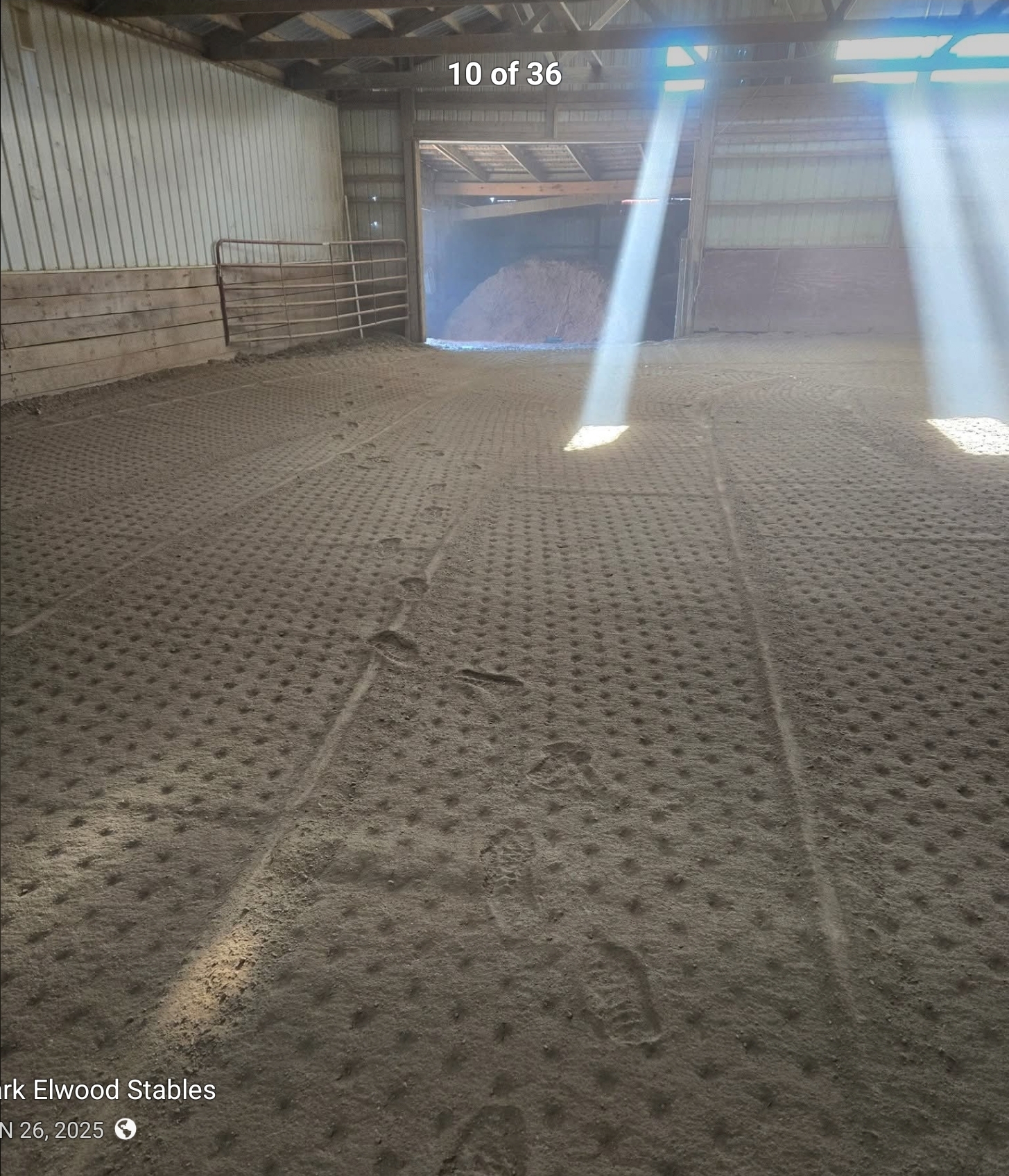 Arena