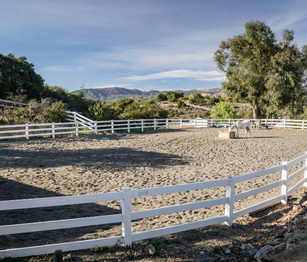 pasture/old arena