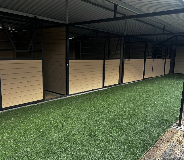 Inside stalls