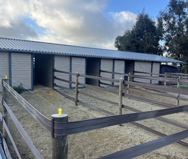 In and Out Stalls