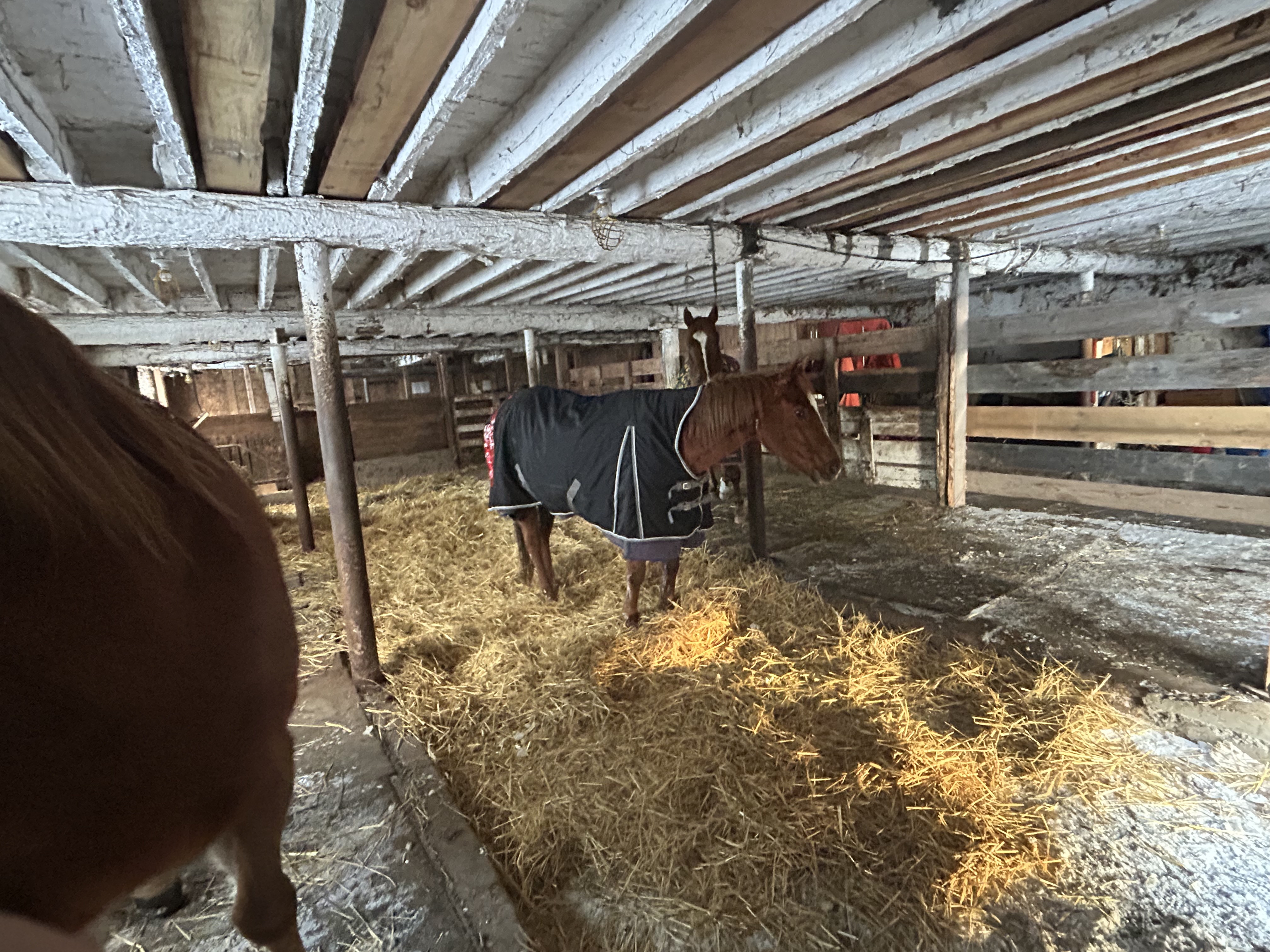 Barn in the winter