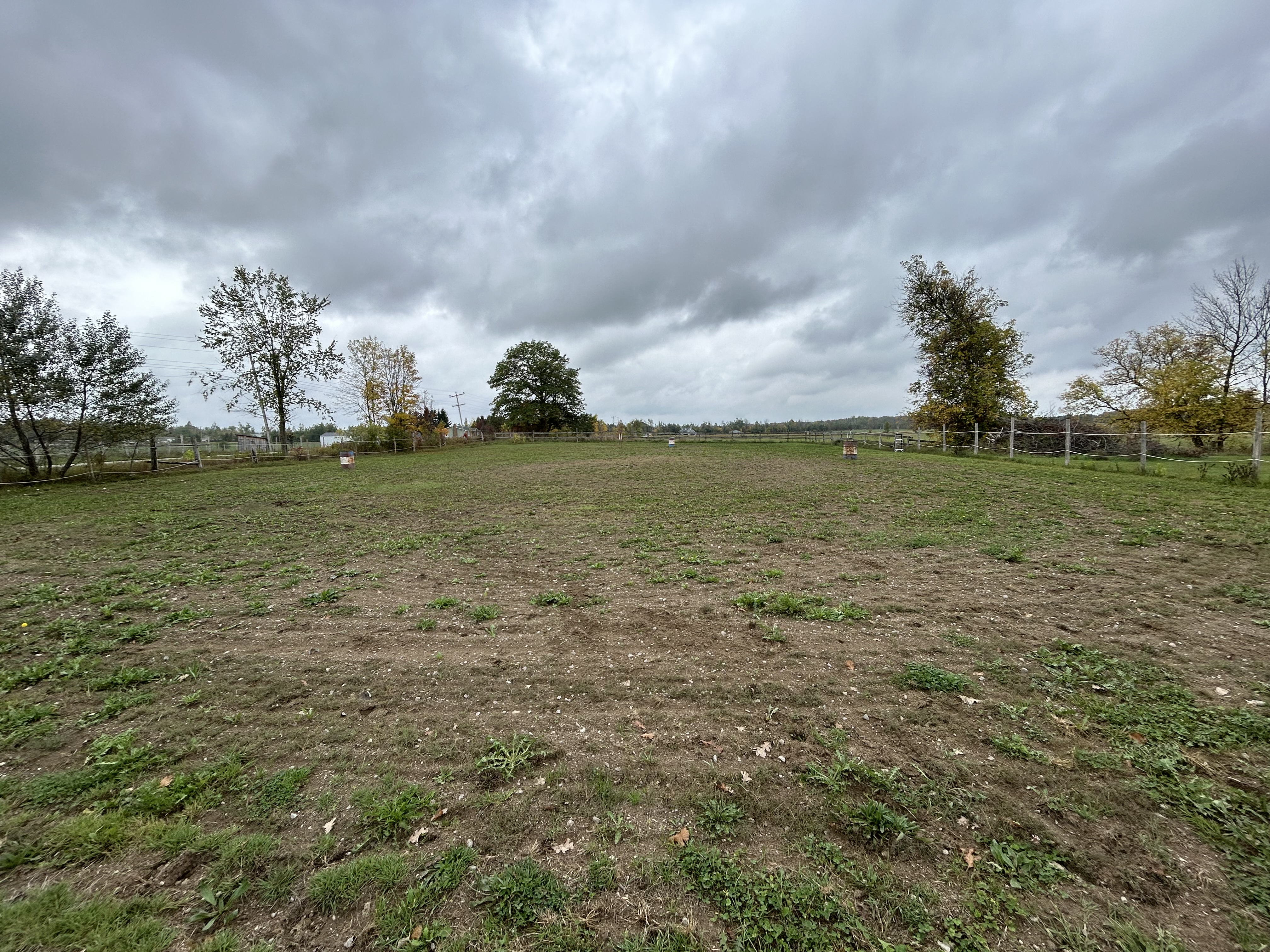 Riding area