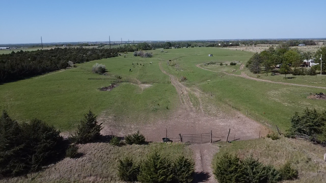 Pasture Overview