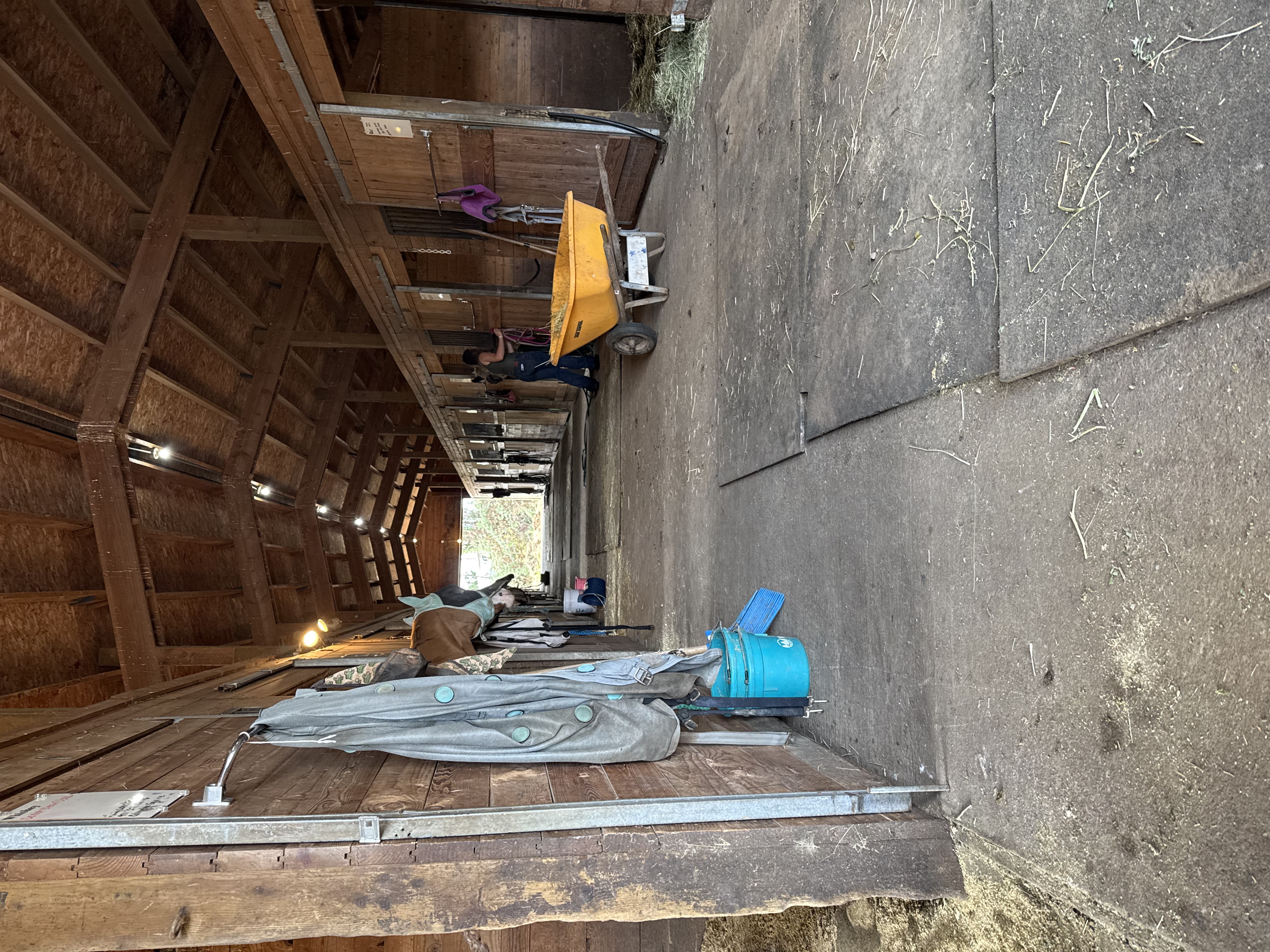 Barn 🦄💗🦄