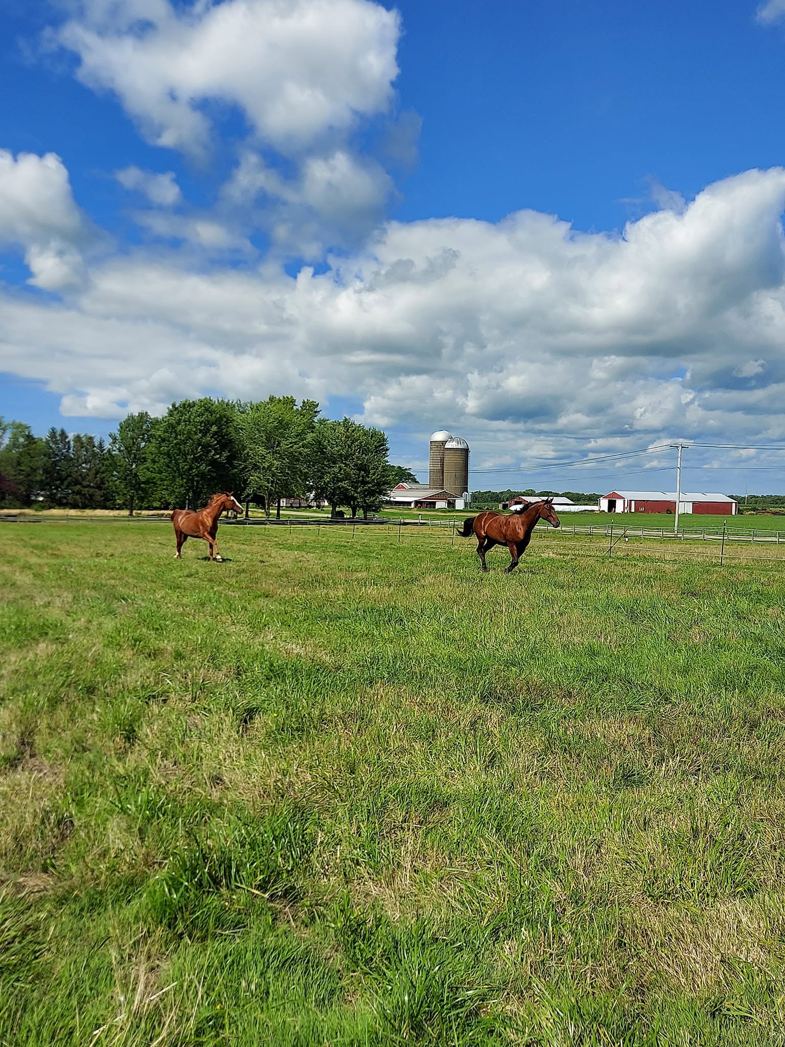 JKFARMS