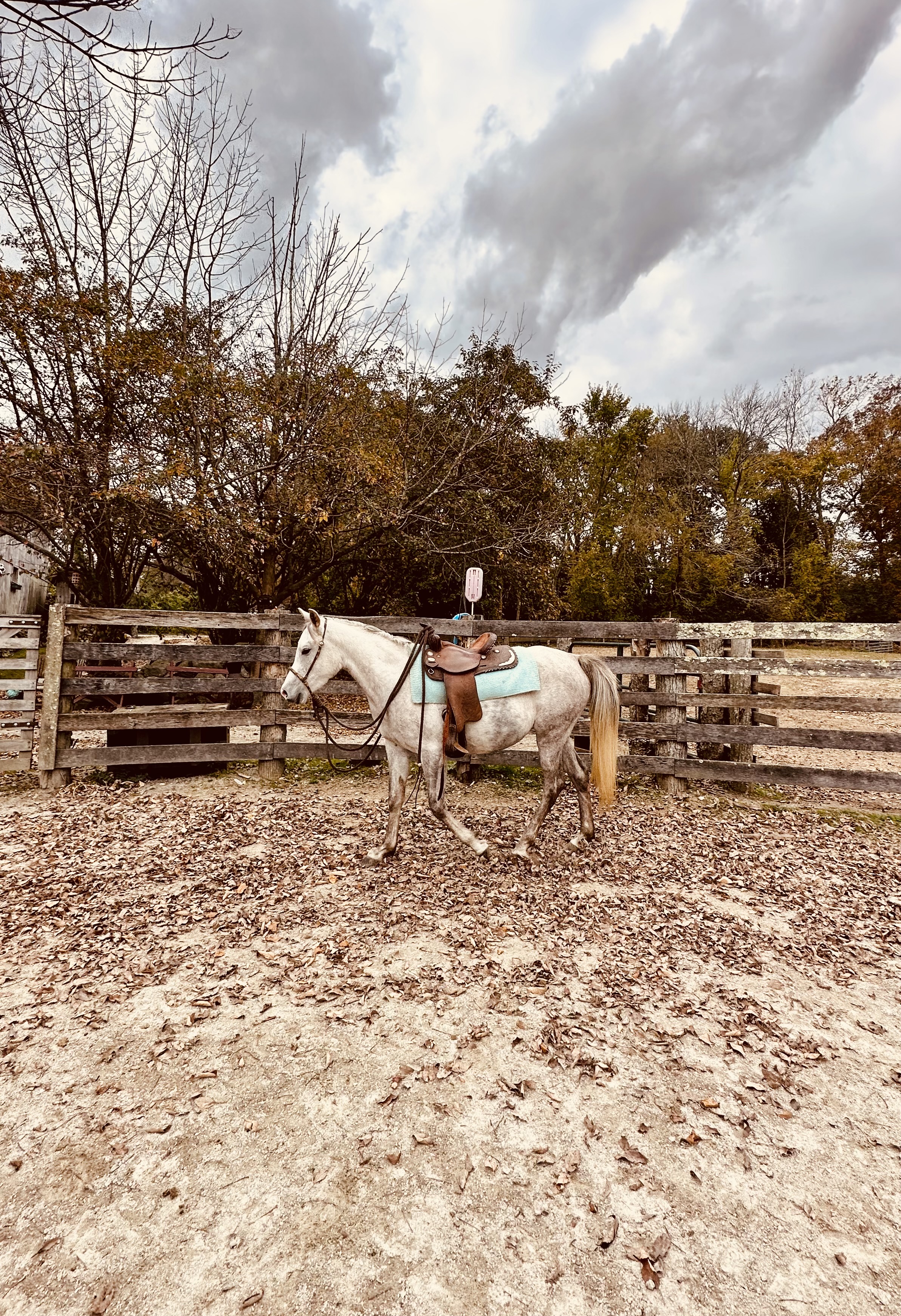 Roundpen