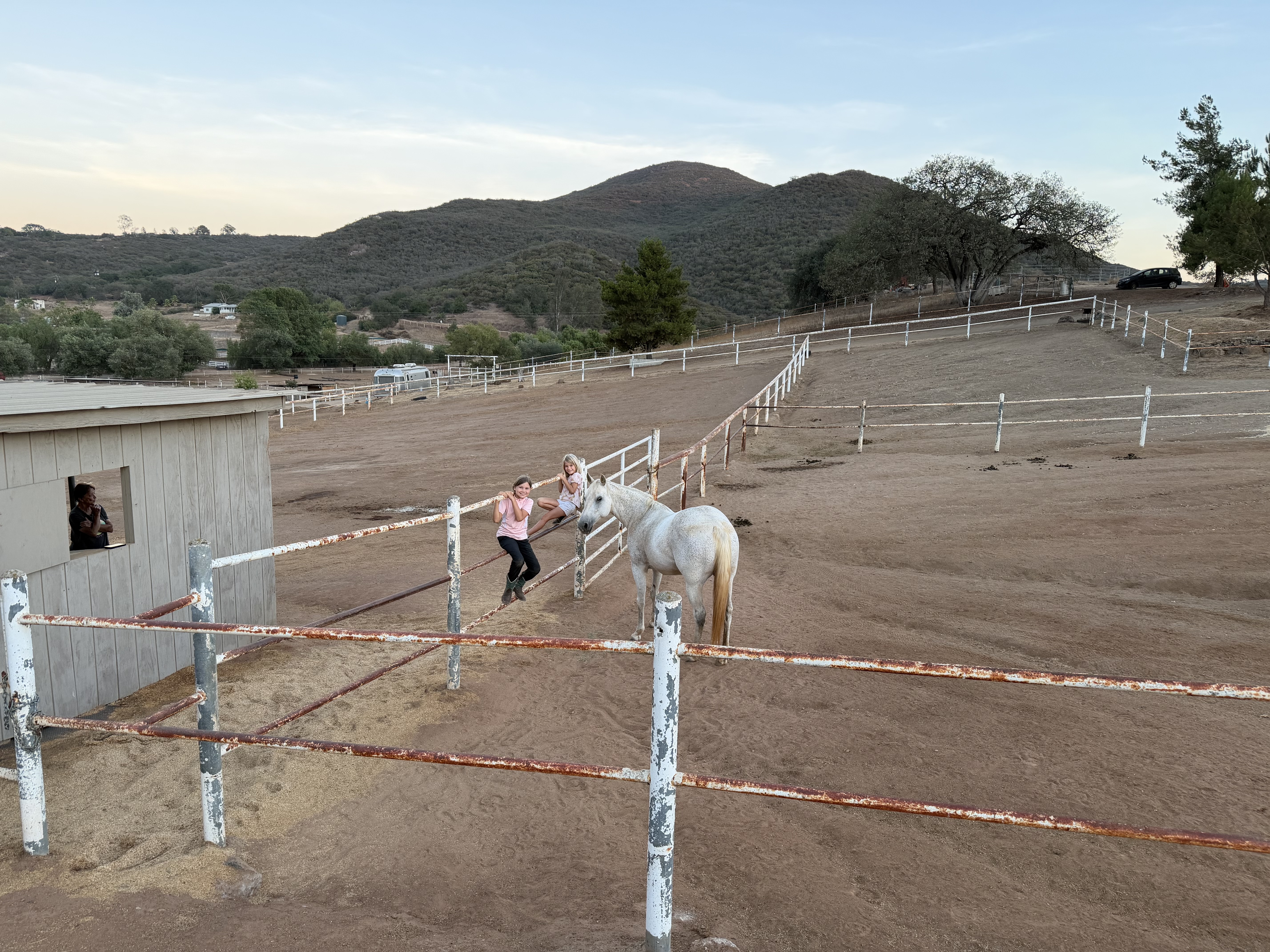 Paddock corrals
