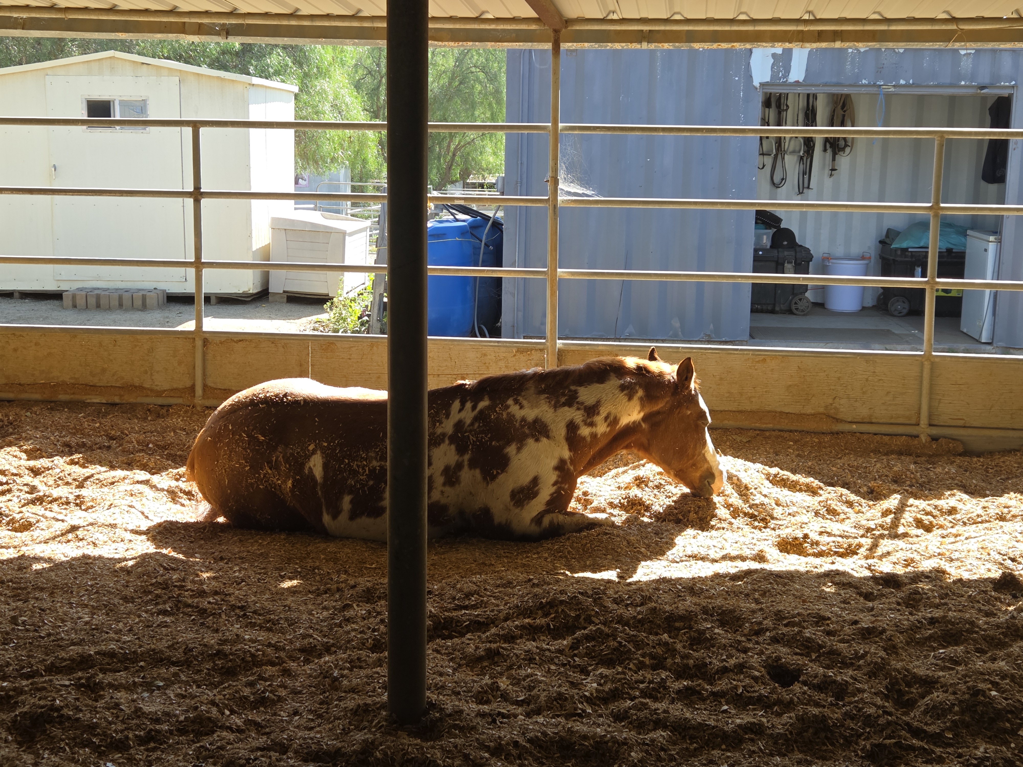Relaxed barn setting