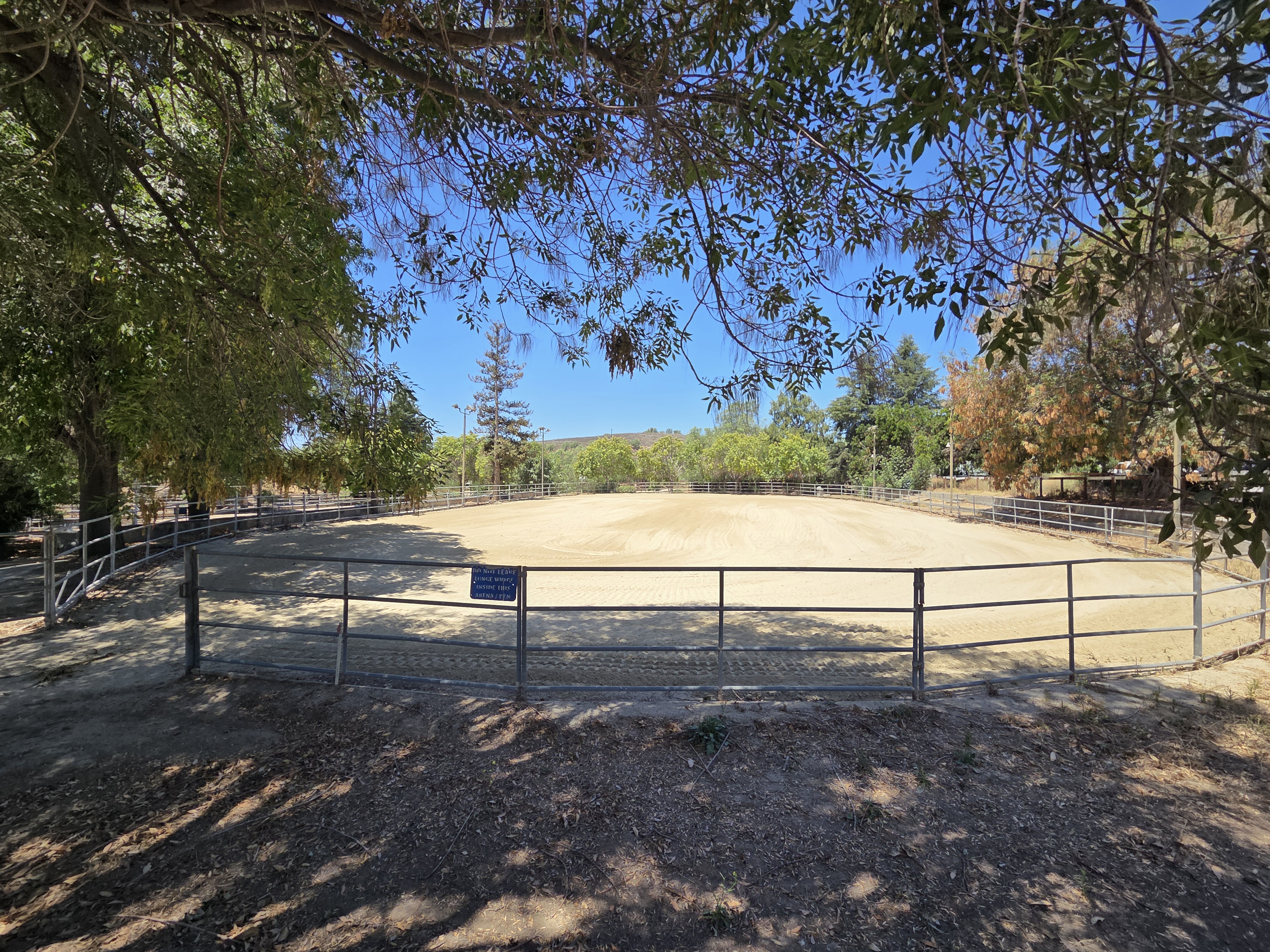 Separate arenas for Trainer