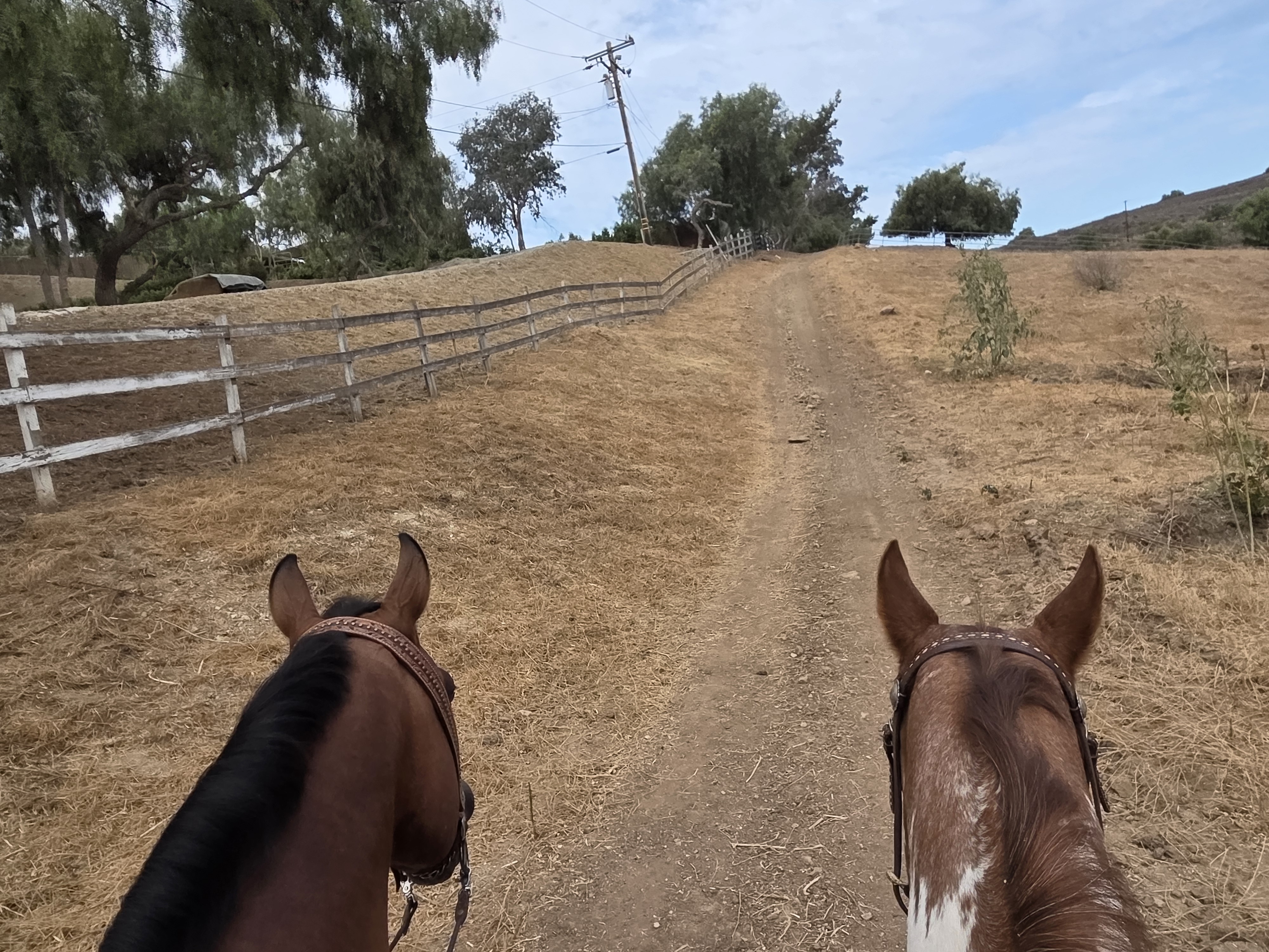 Trail on property