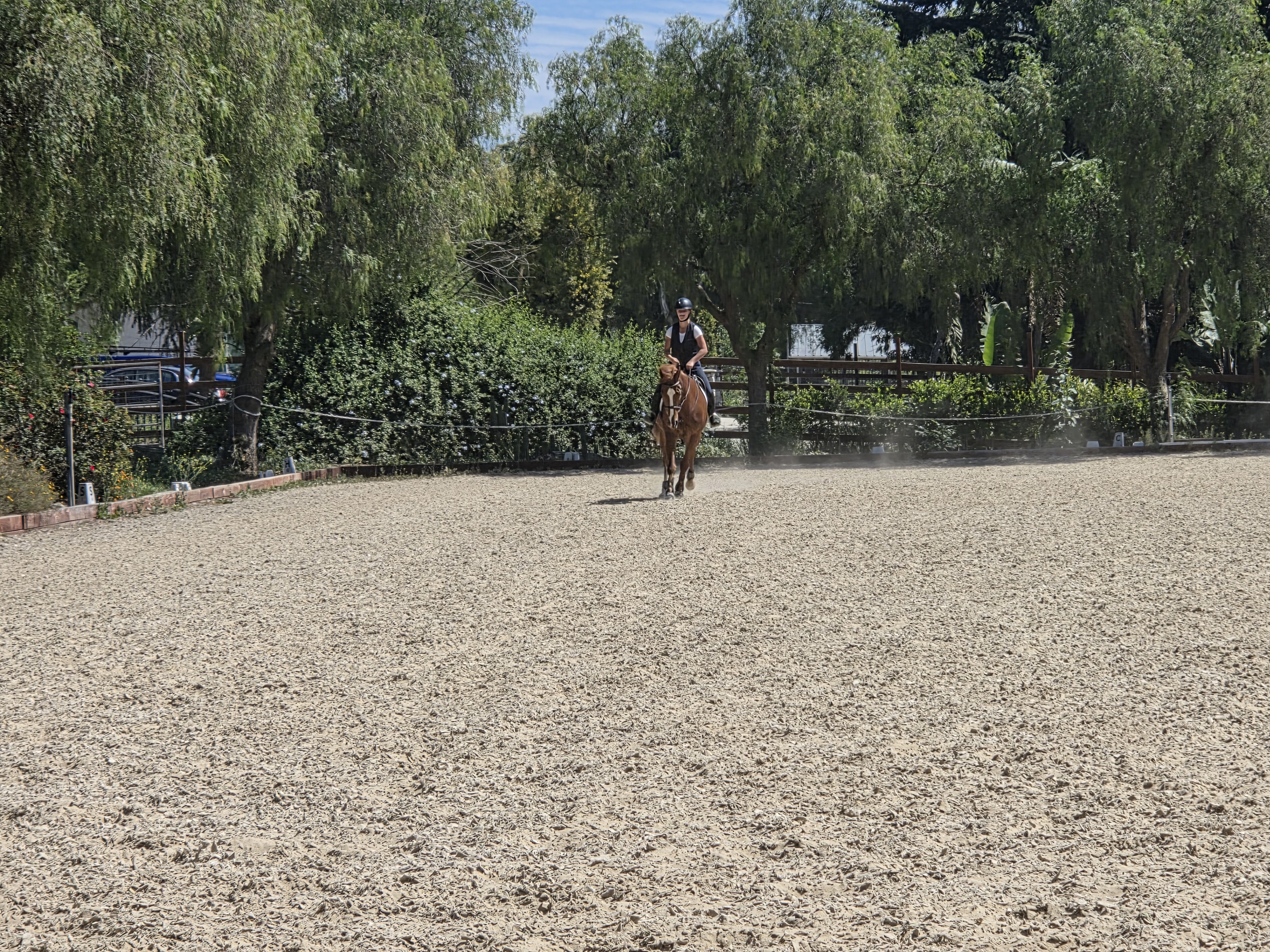 GGT Footing Dressage Arena