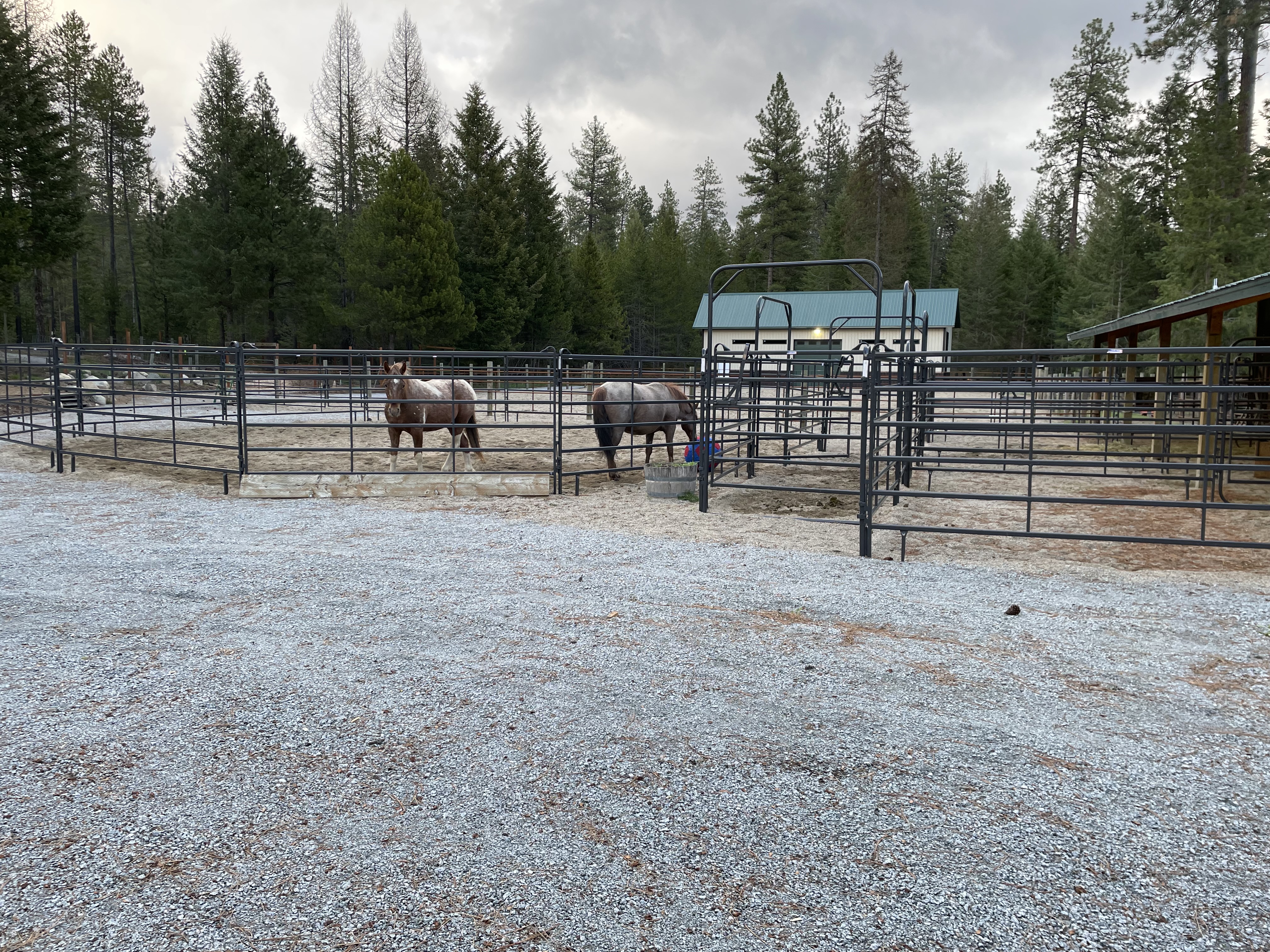 Corrals, Round Pen & outdoor arena