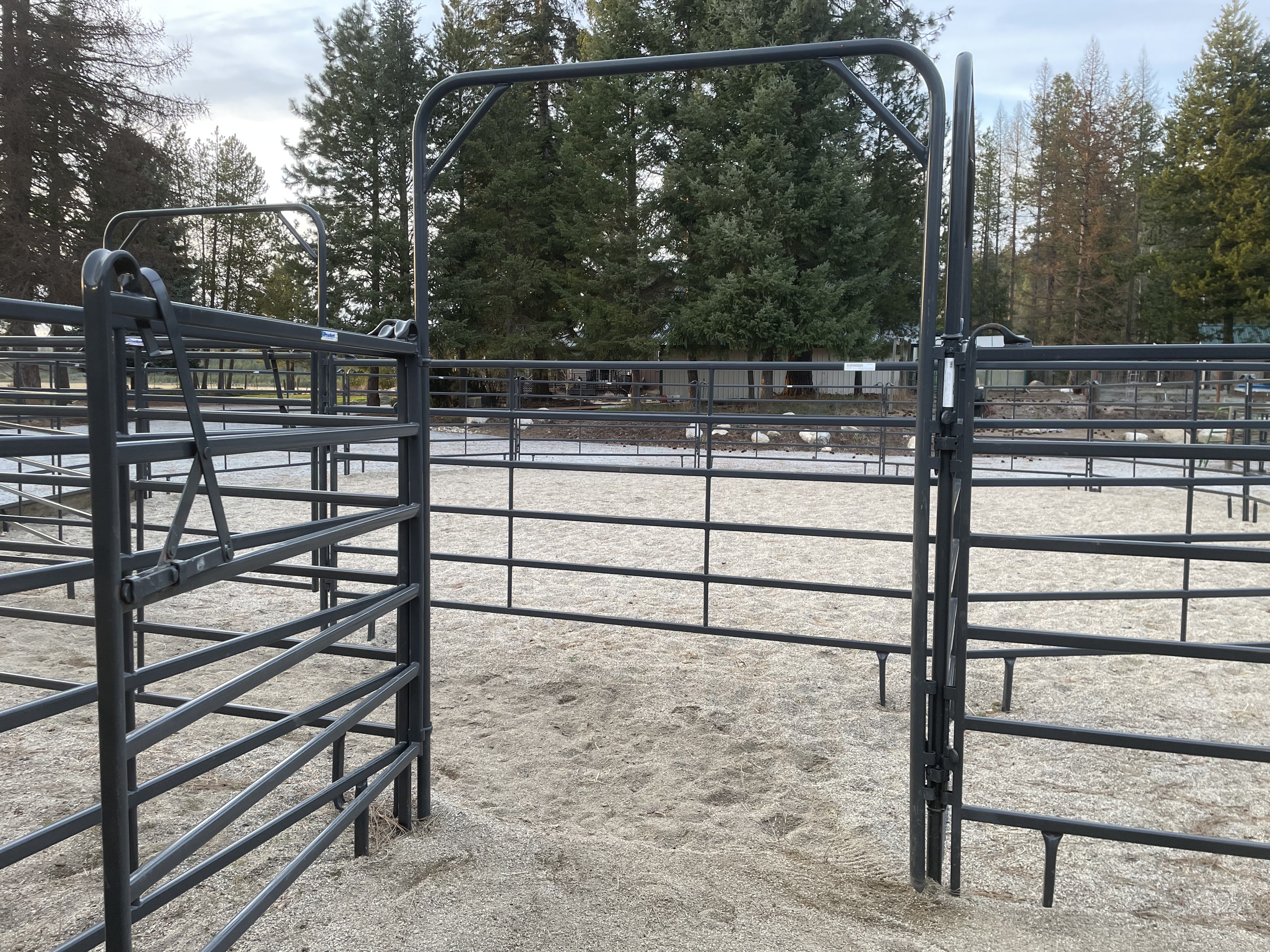 Paddock to Round Pen