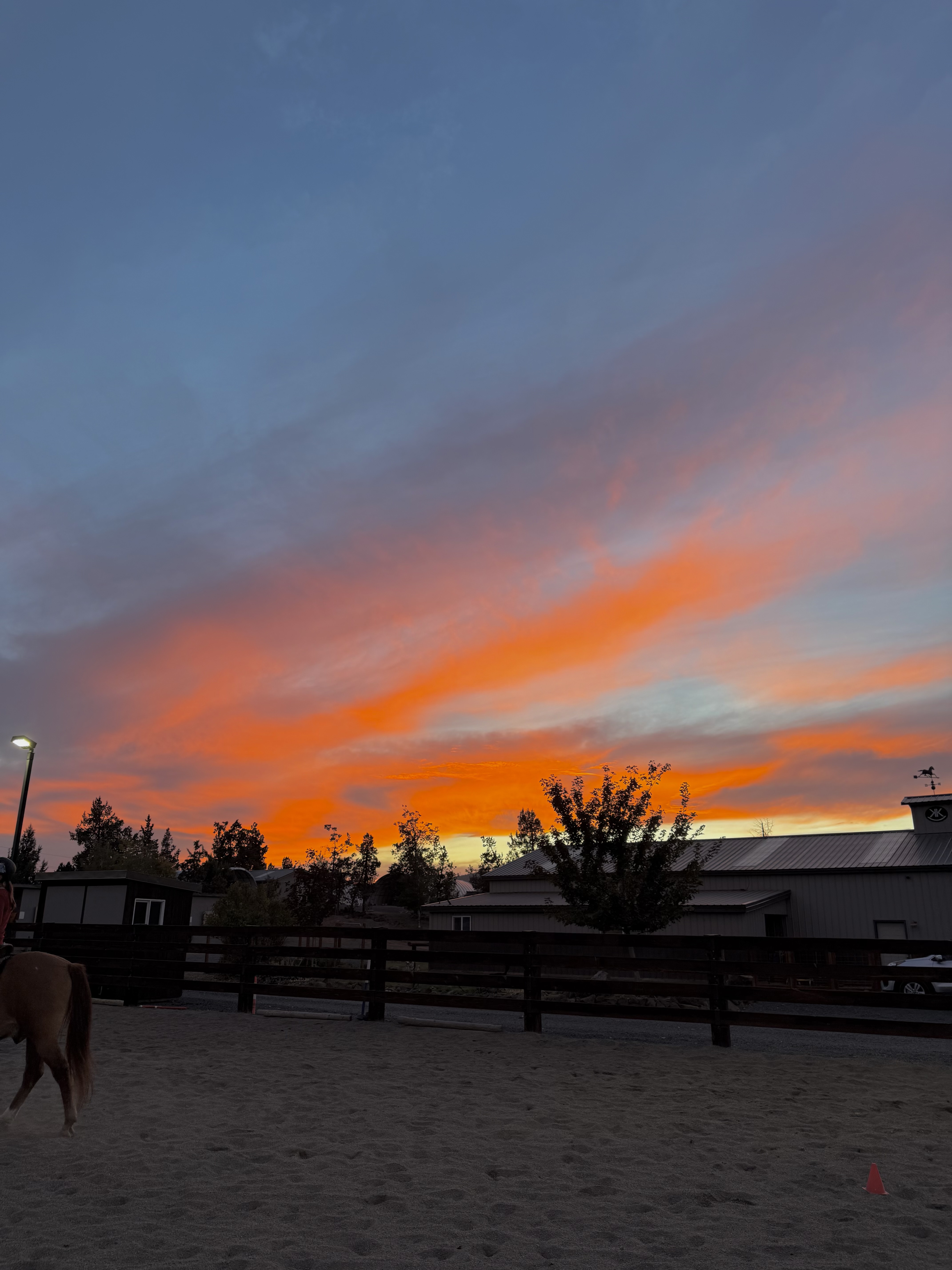 Sunset rides