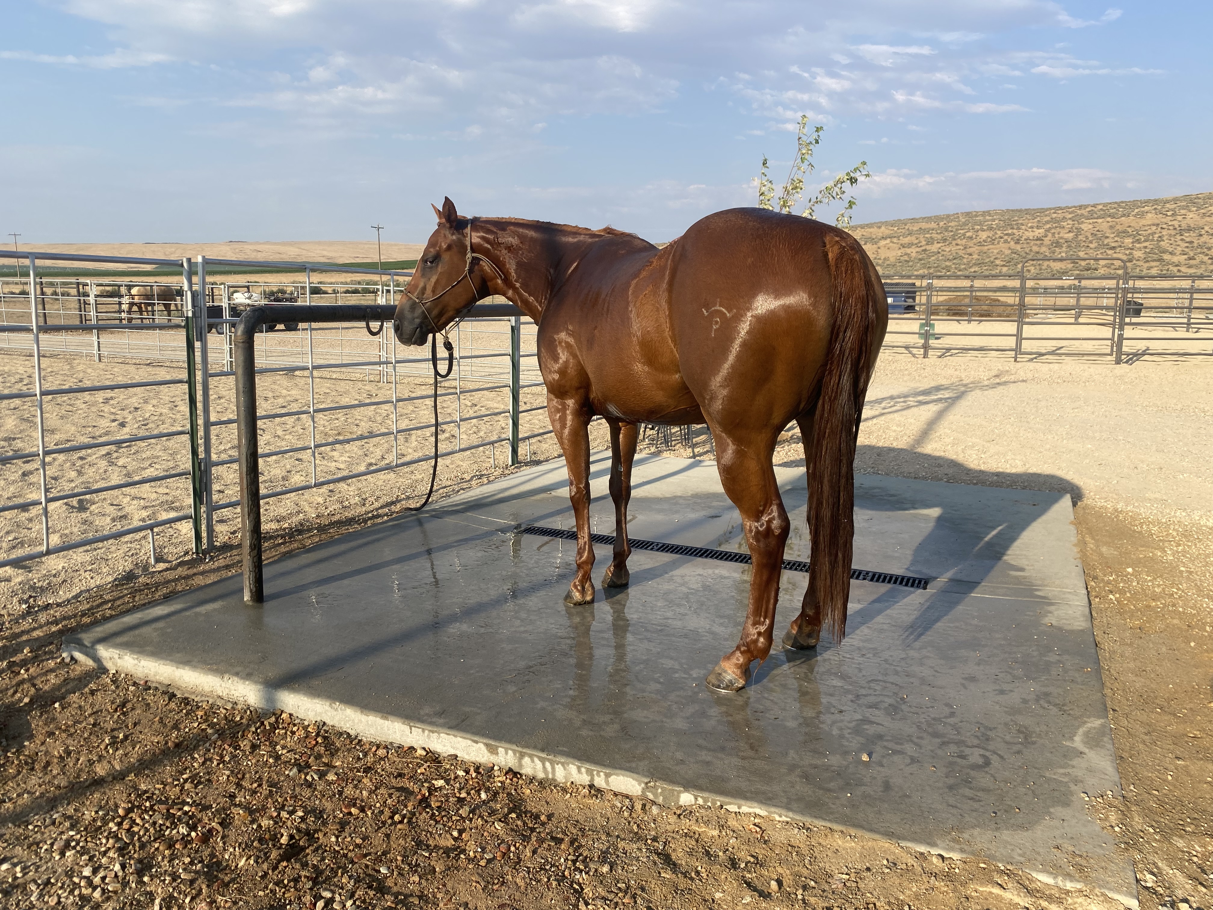 Wash Rack