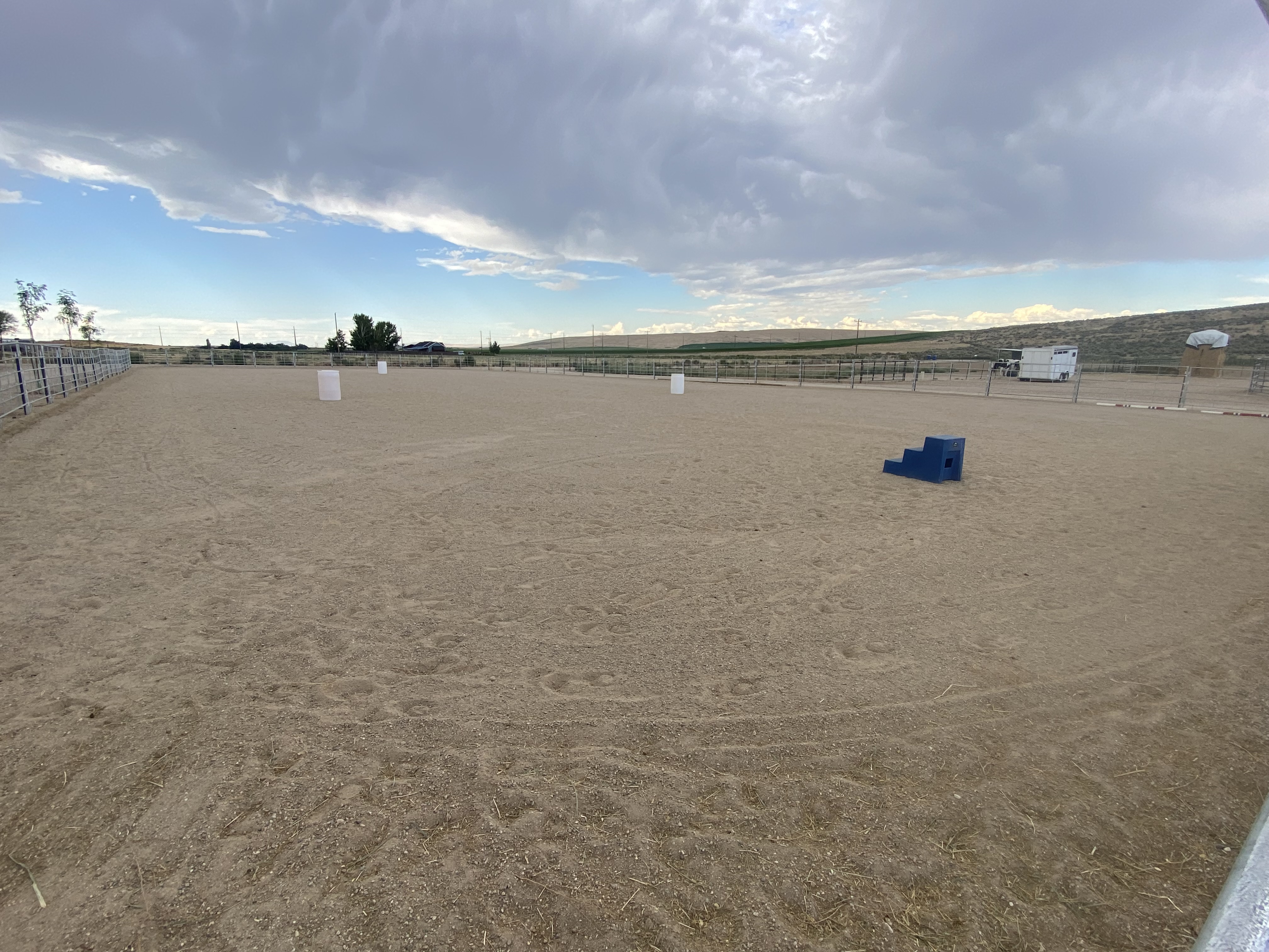 Arena