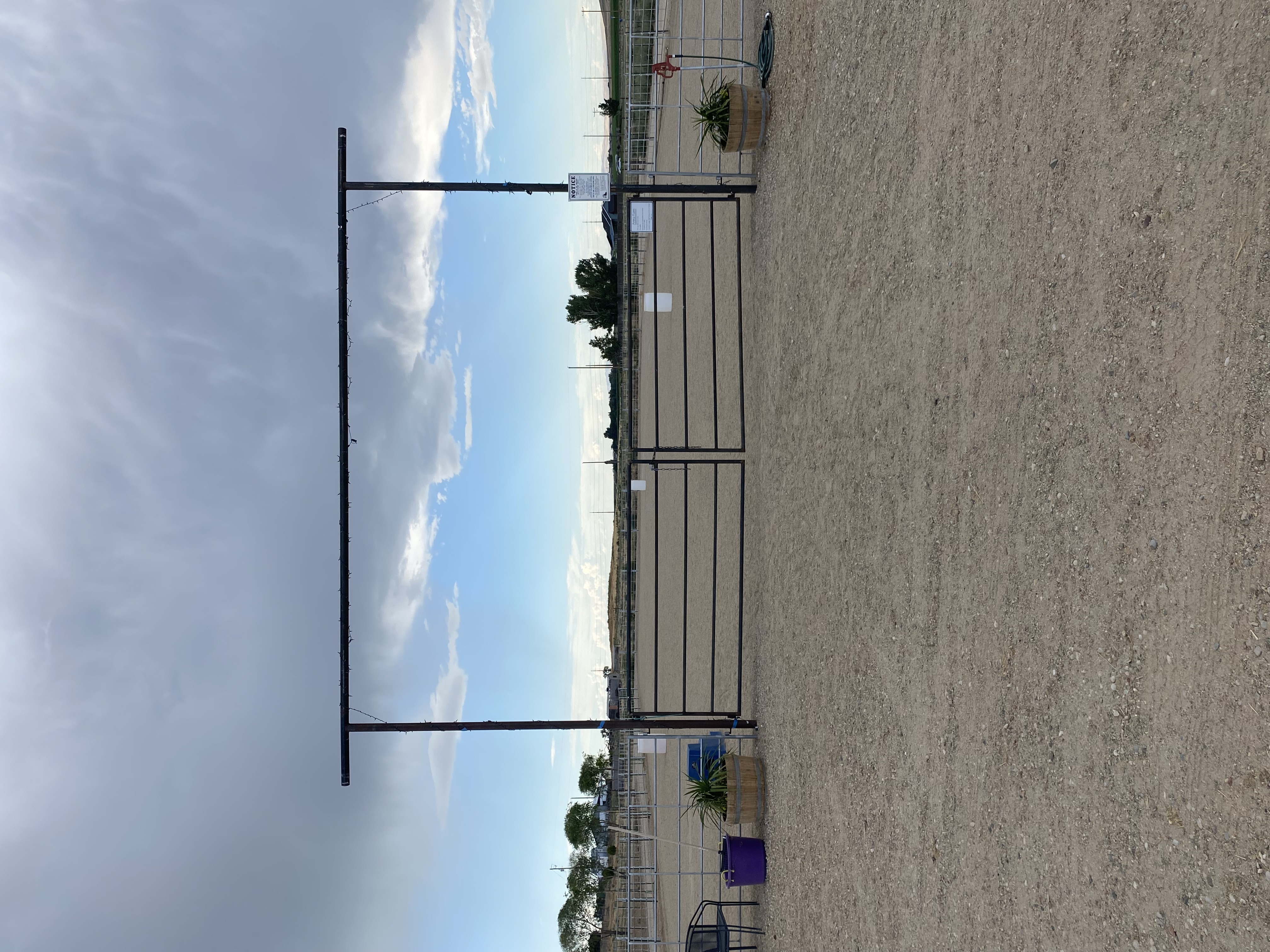 Arena