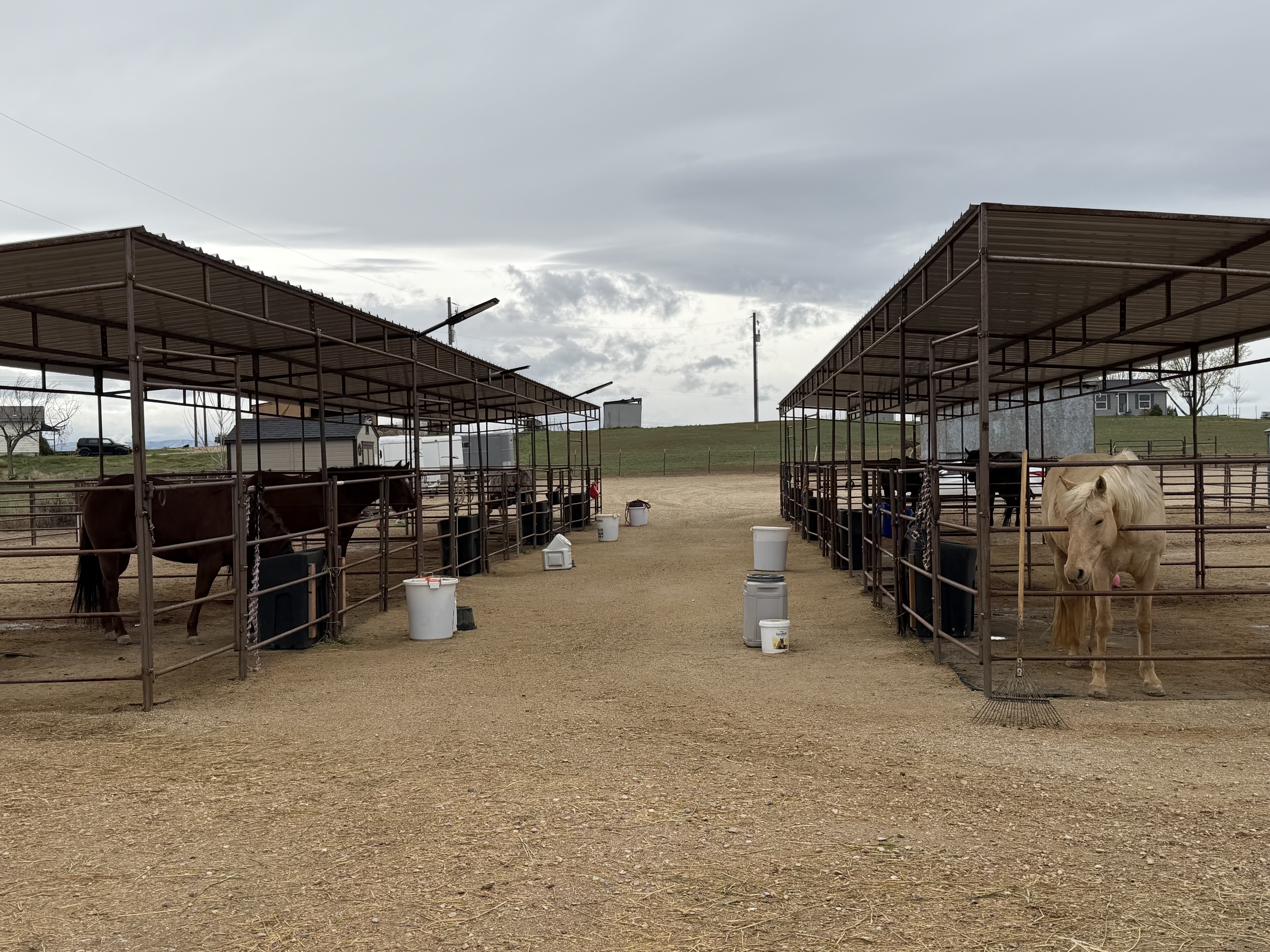 Stalls