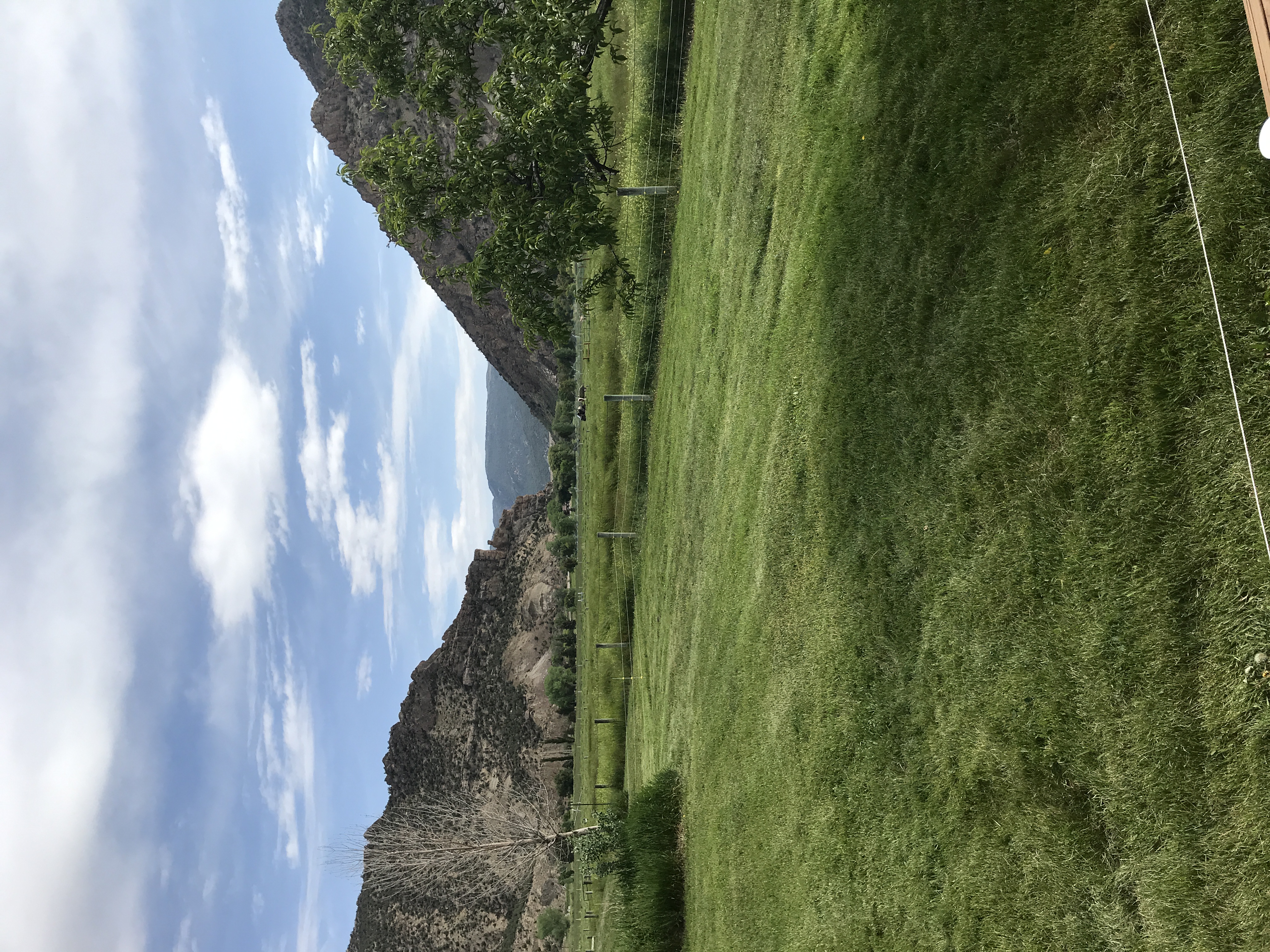 Rifle Gap Ranch