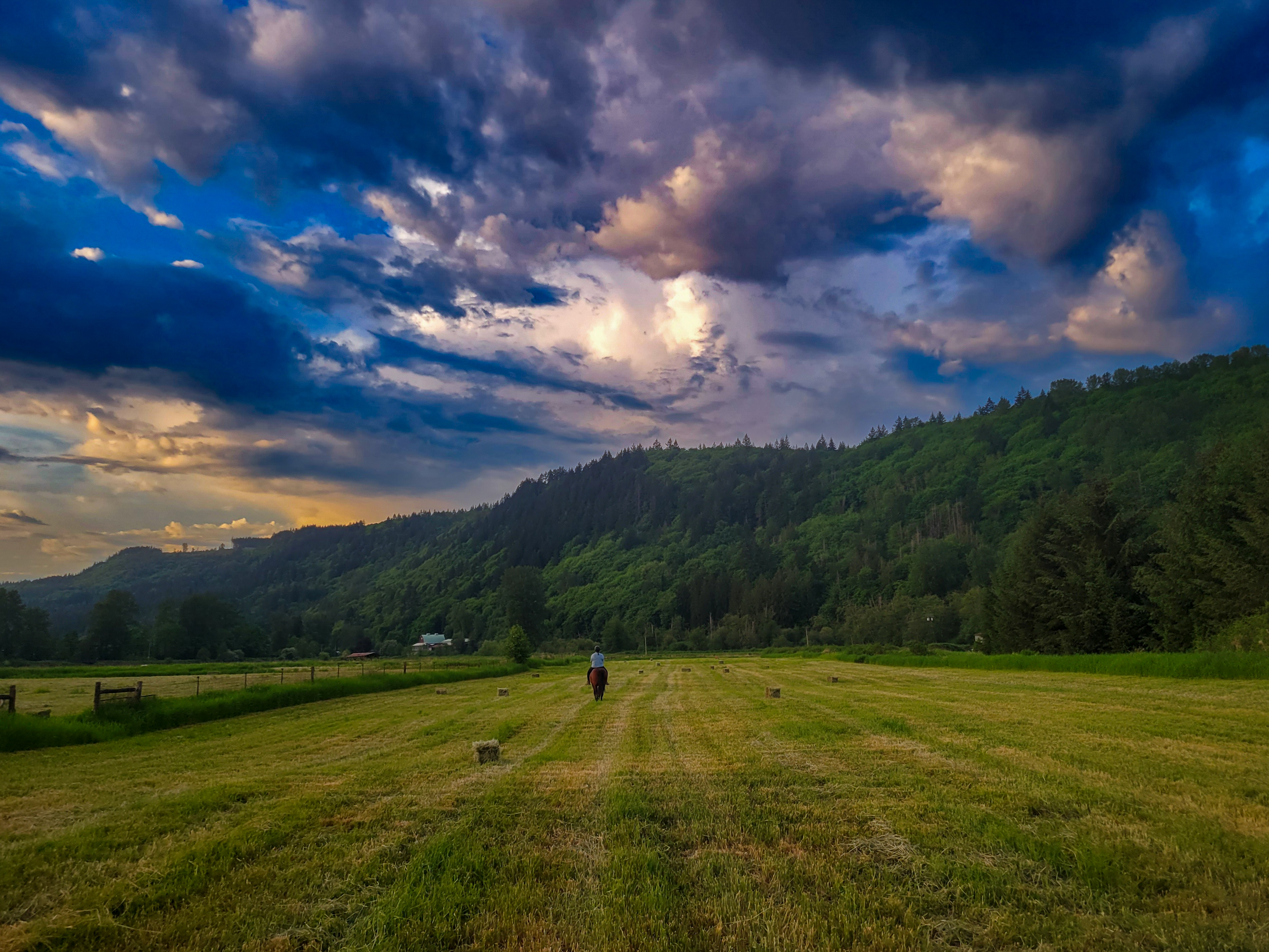 Fields to ride in
