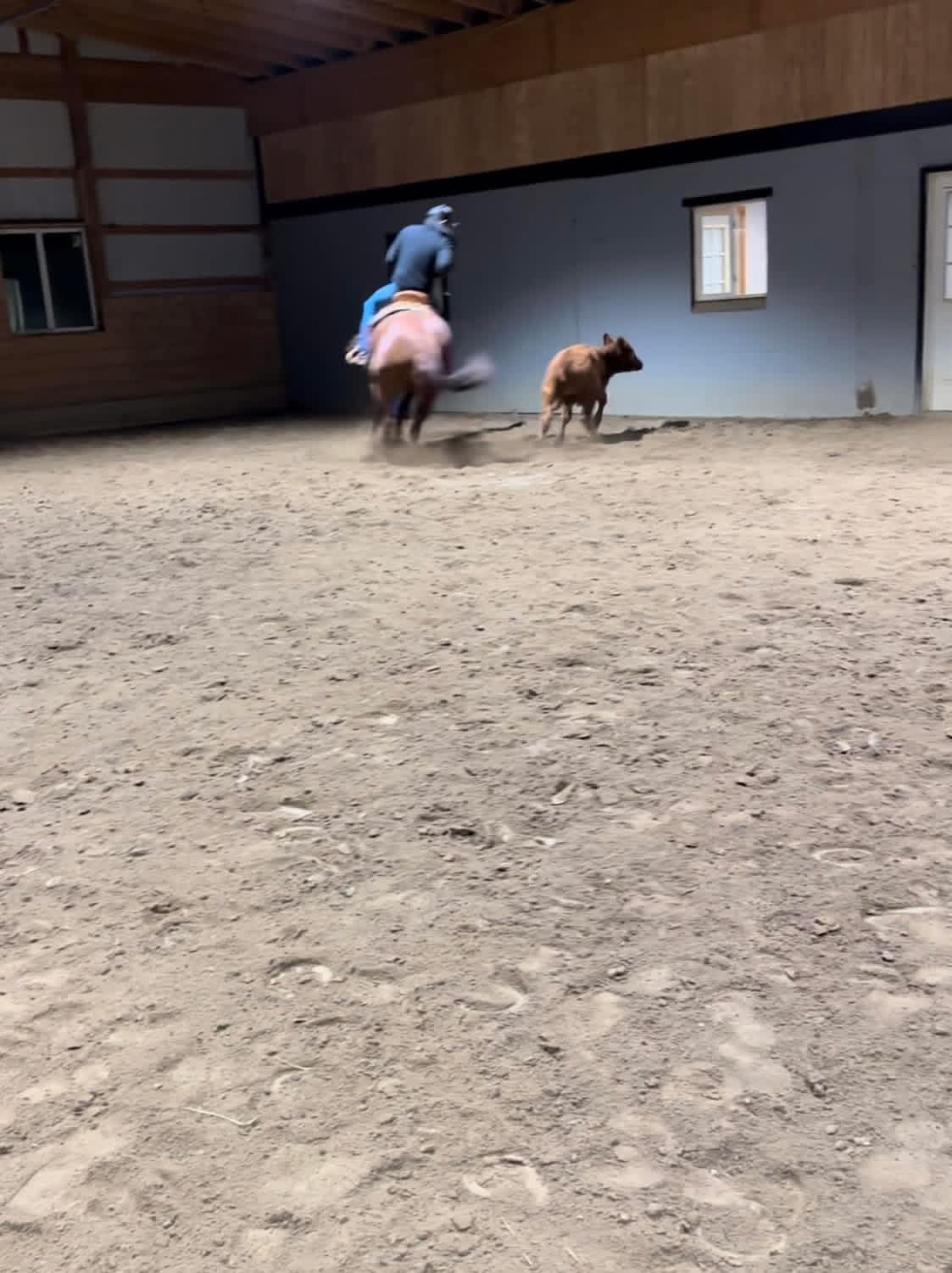 Cattle work