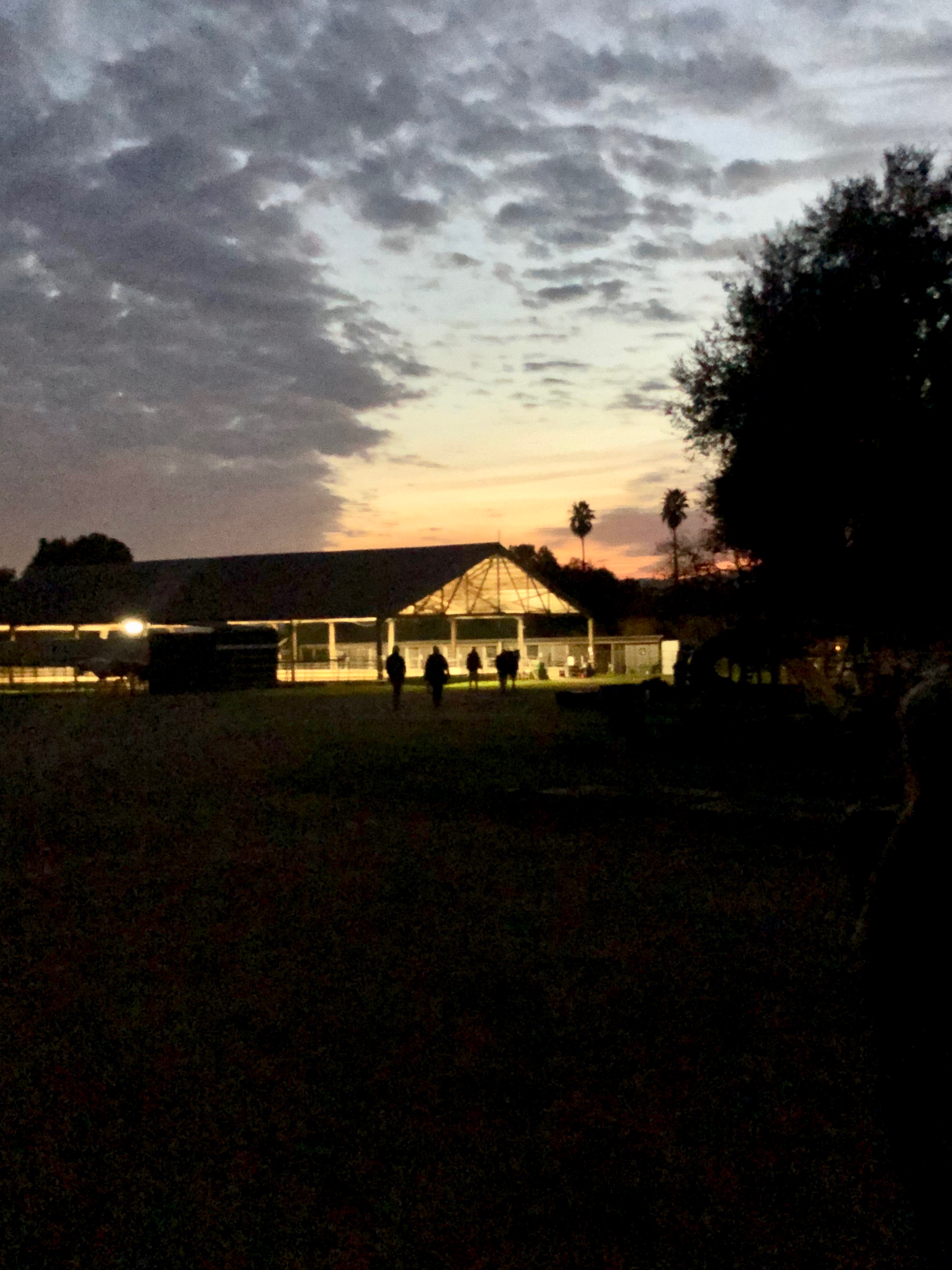 Lights!