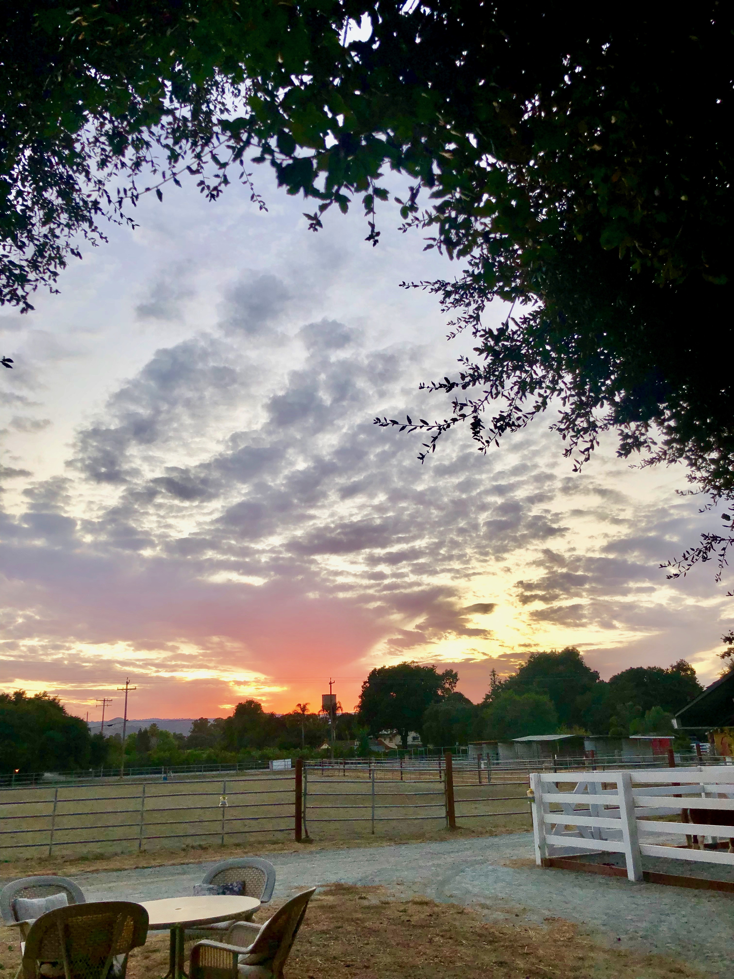 Sunset barn