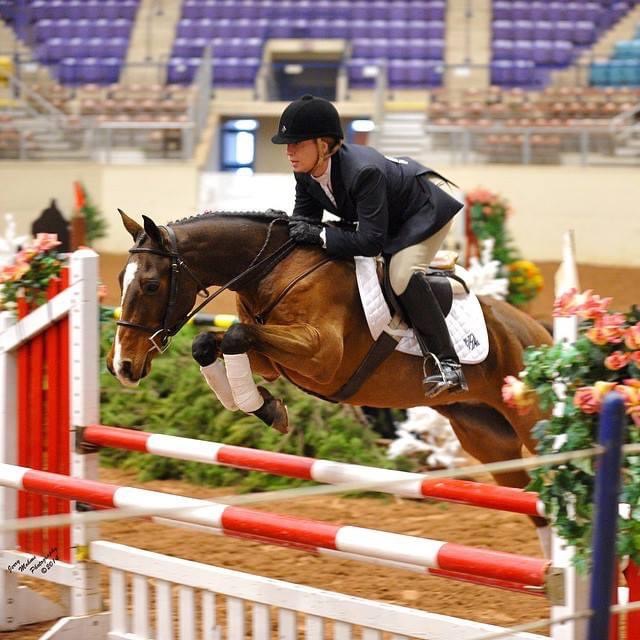 Equitation
