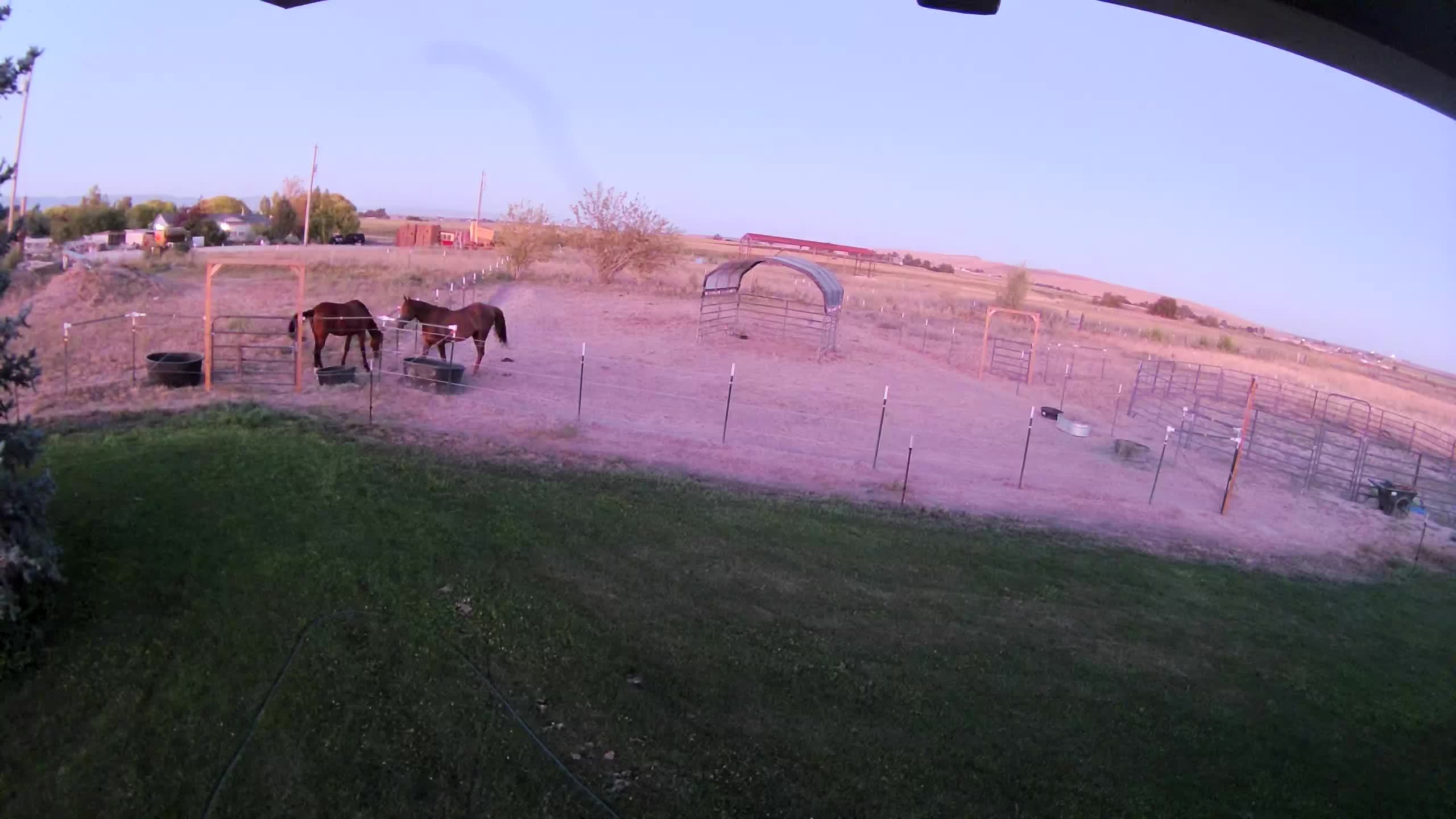 Paddocks