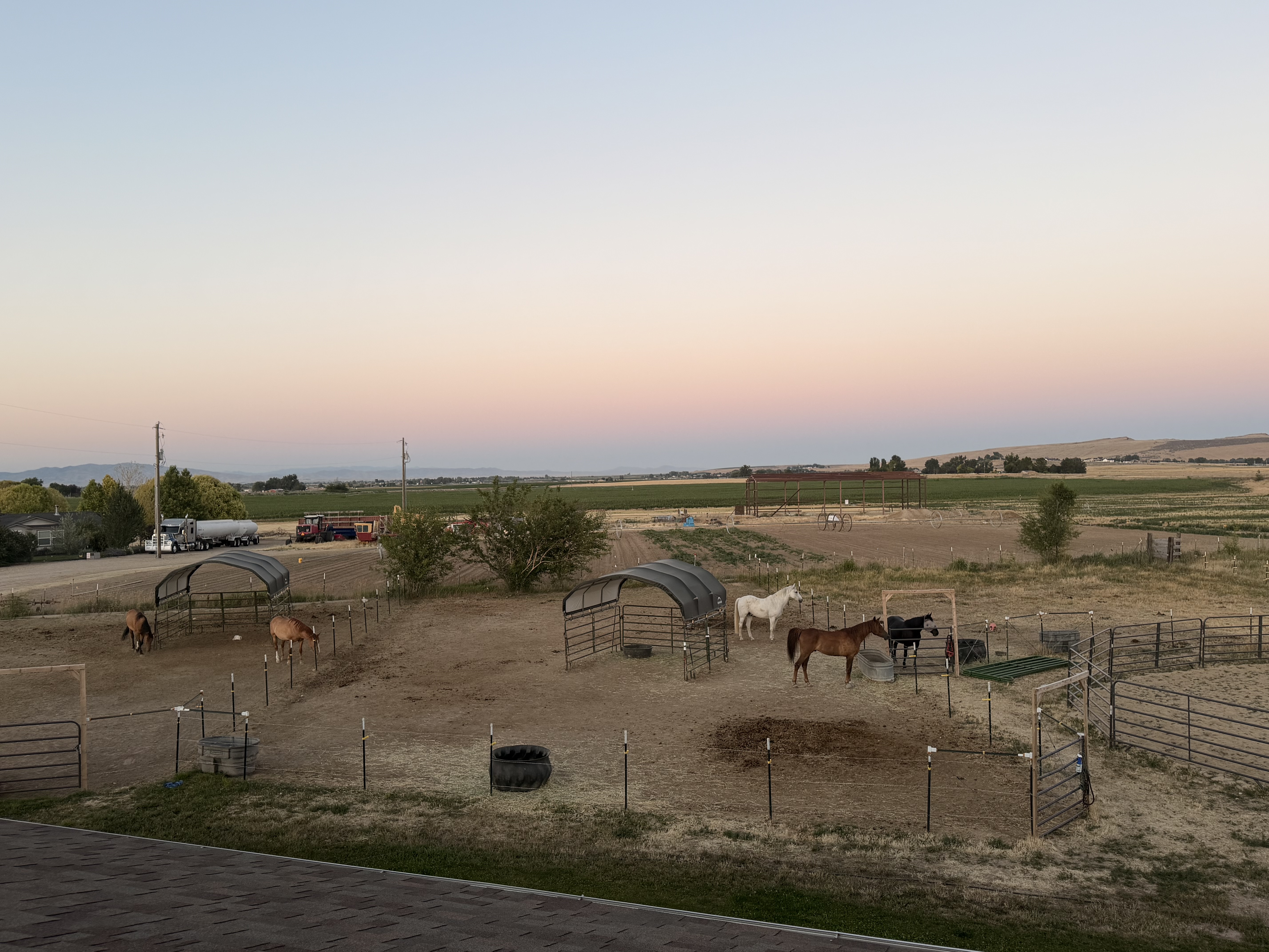 Photo of paddocks from above