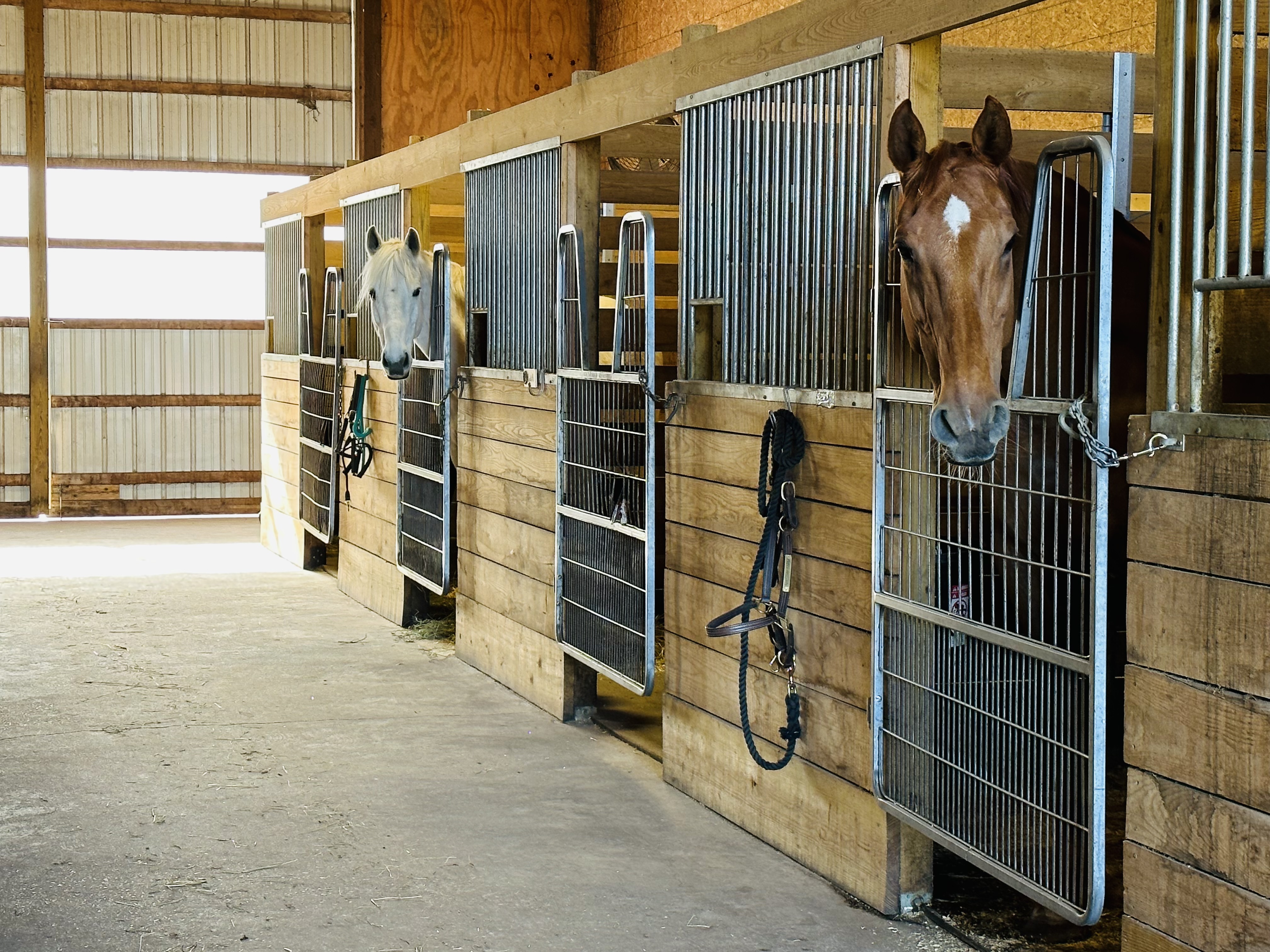 Stalls