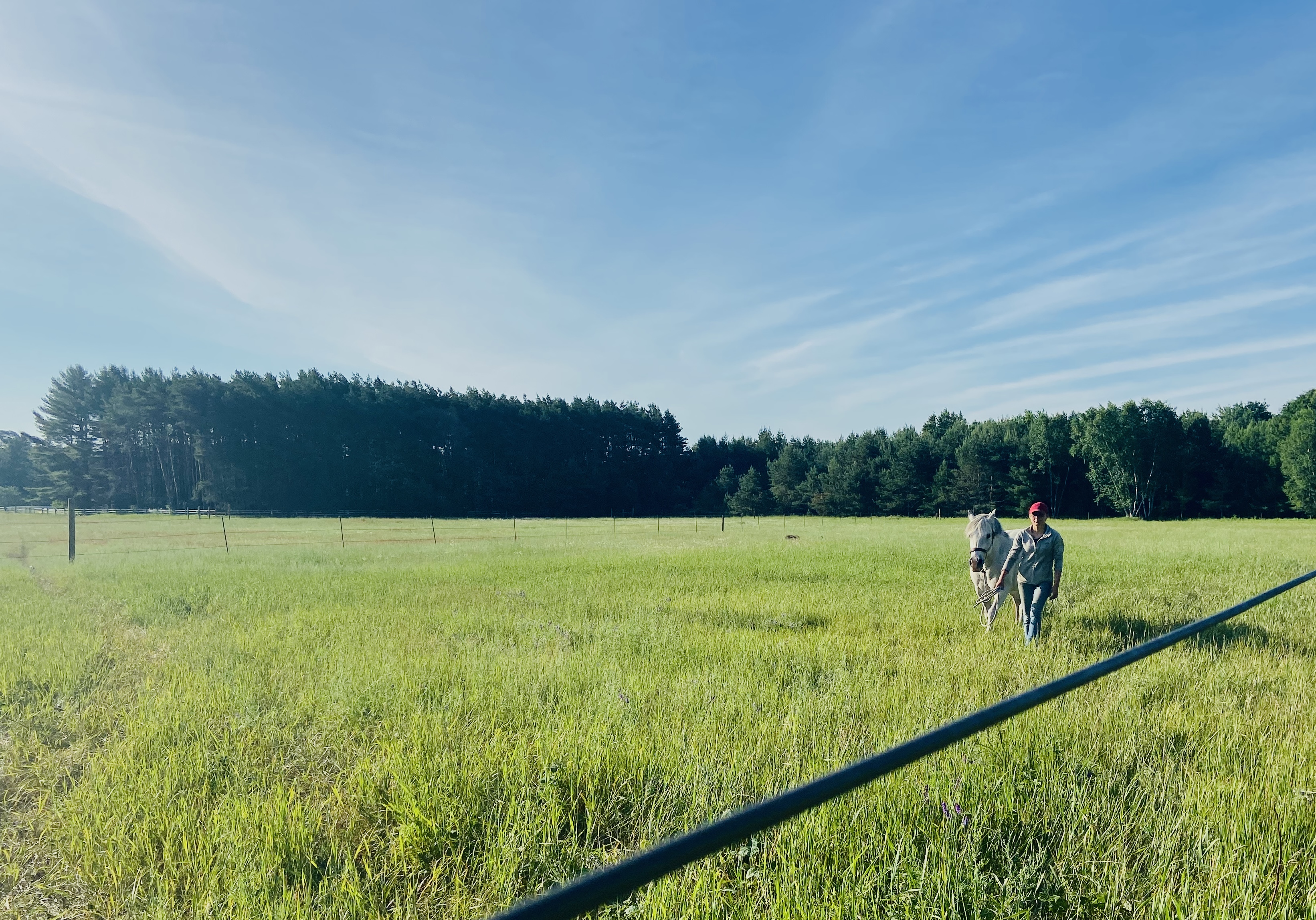 Fields2