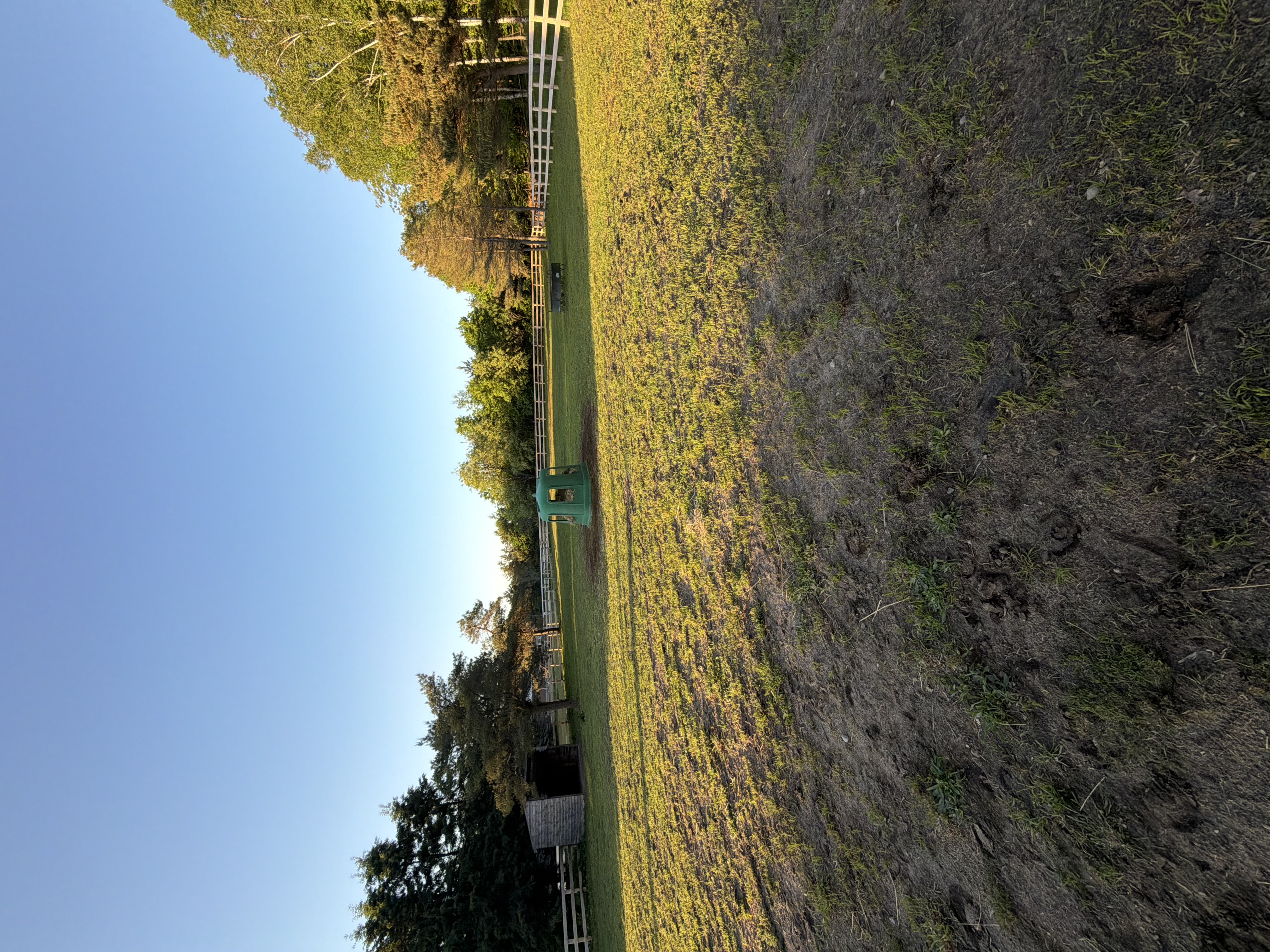 Main Paddock