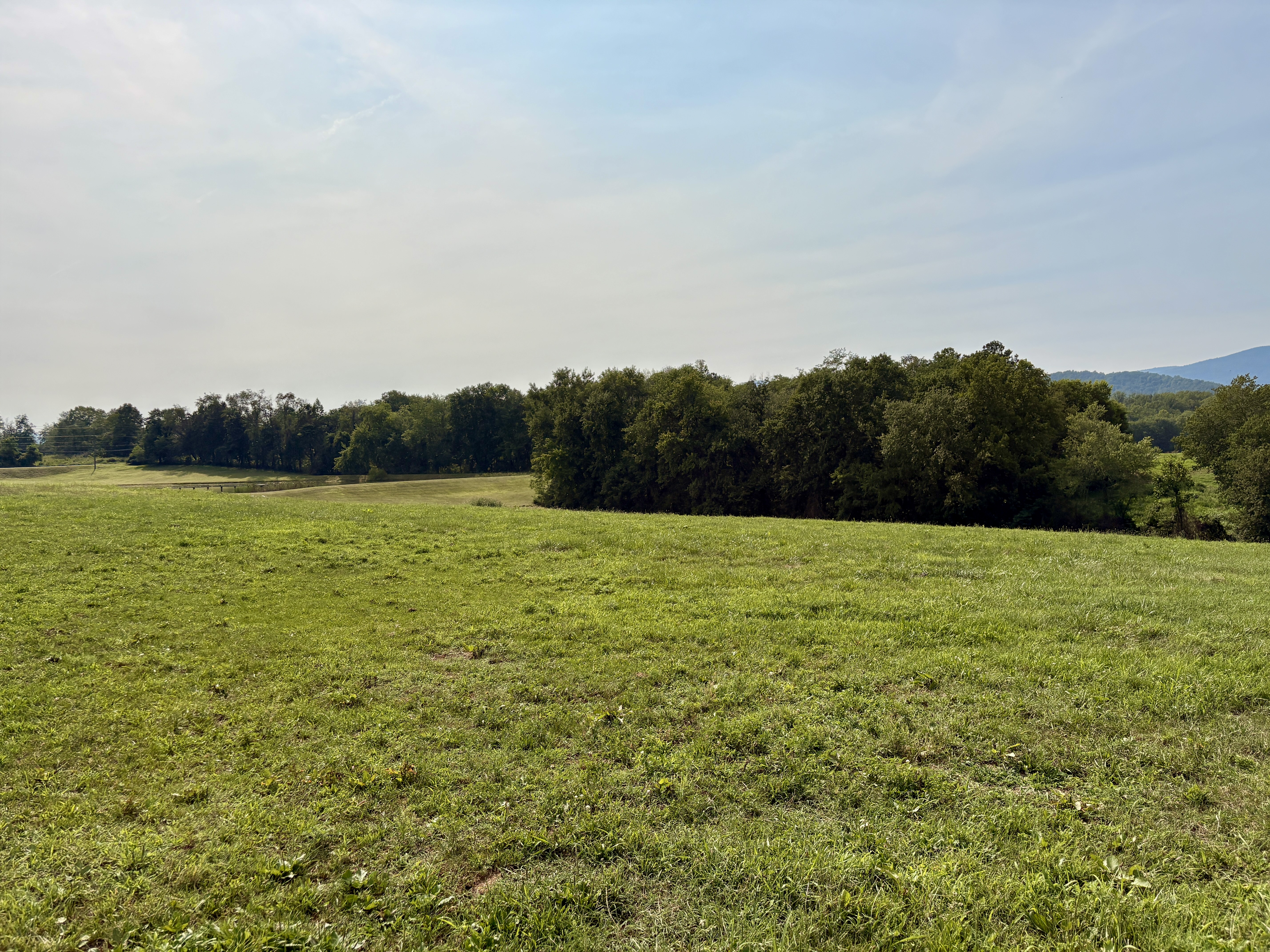 Pasture