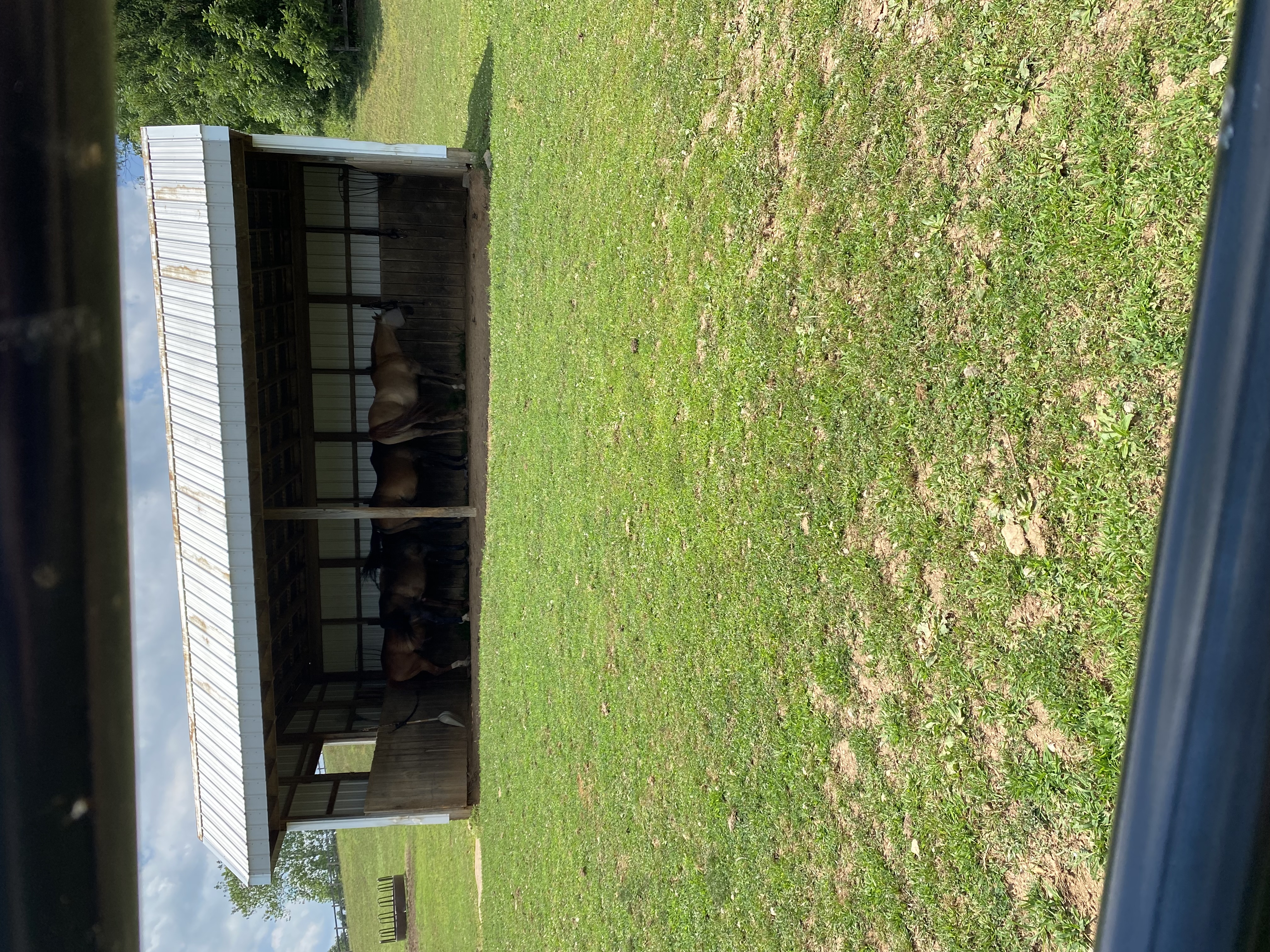 Sheds