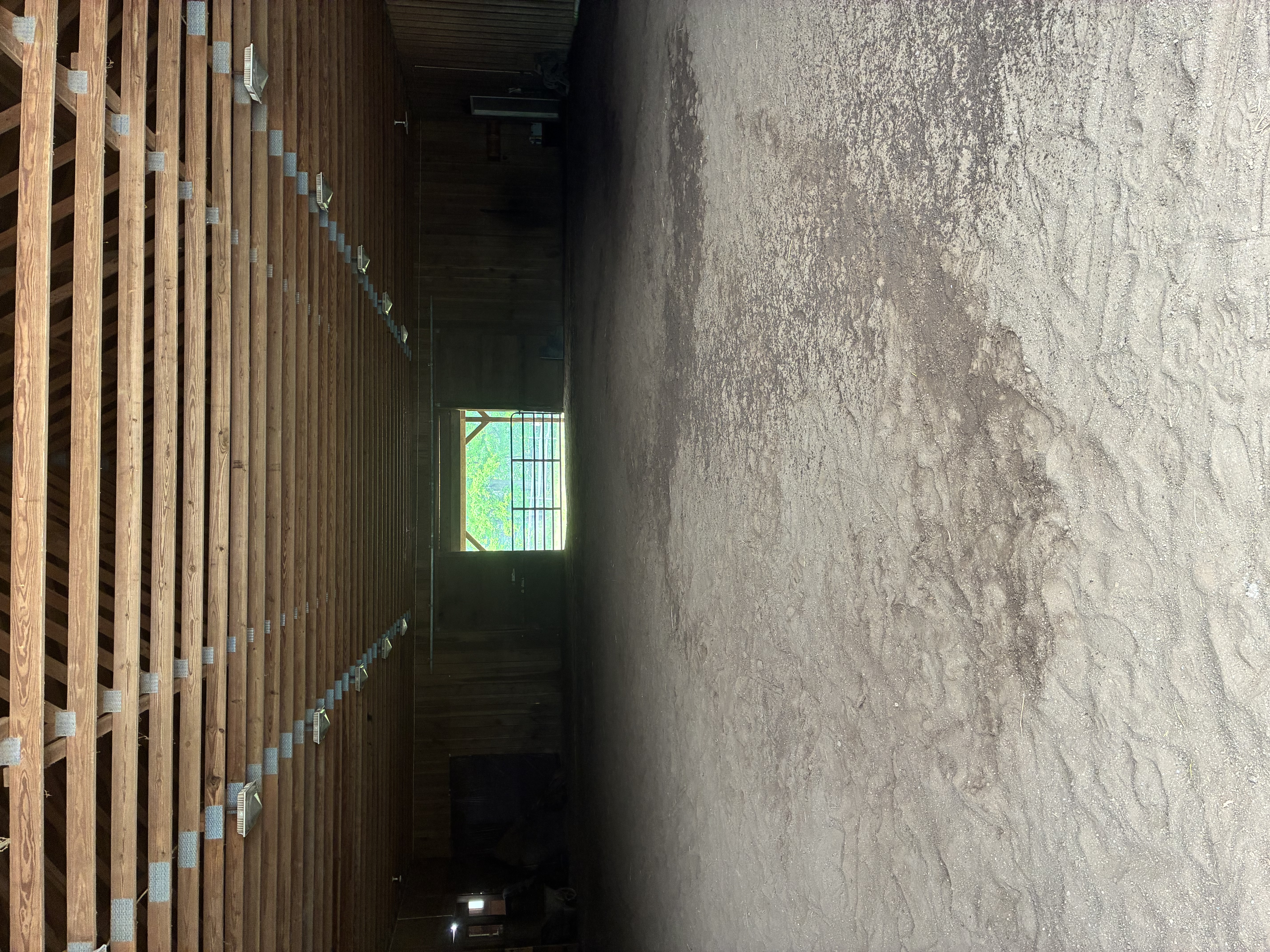 Indoor 60x80