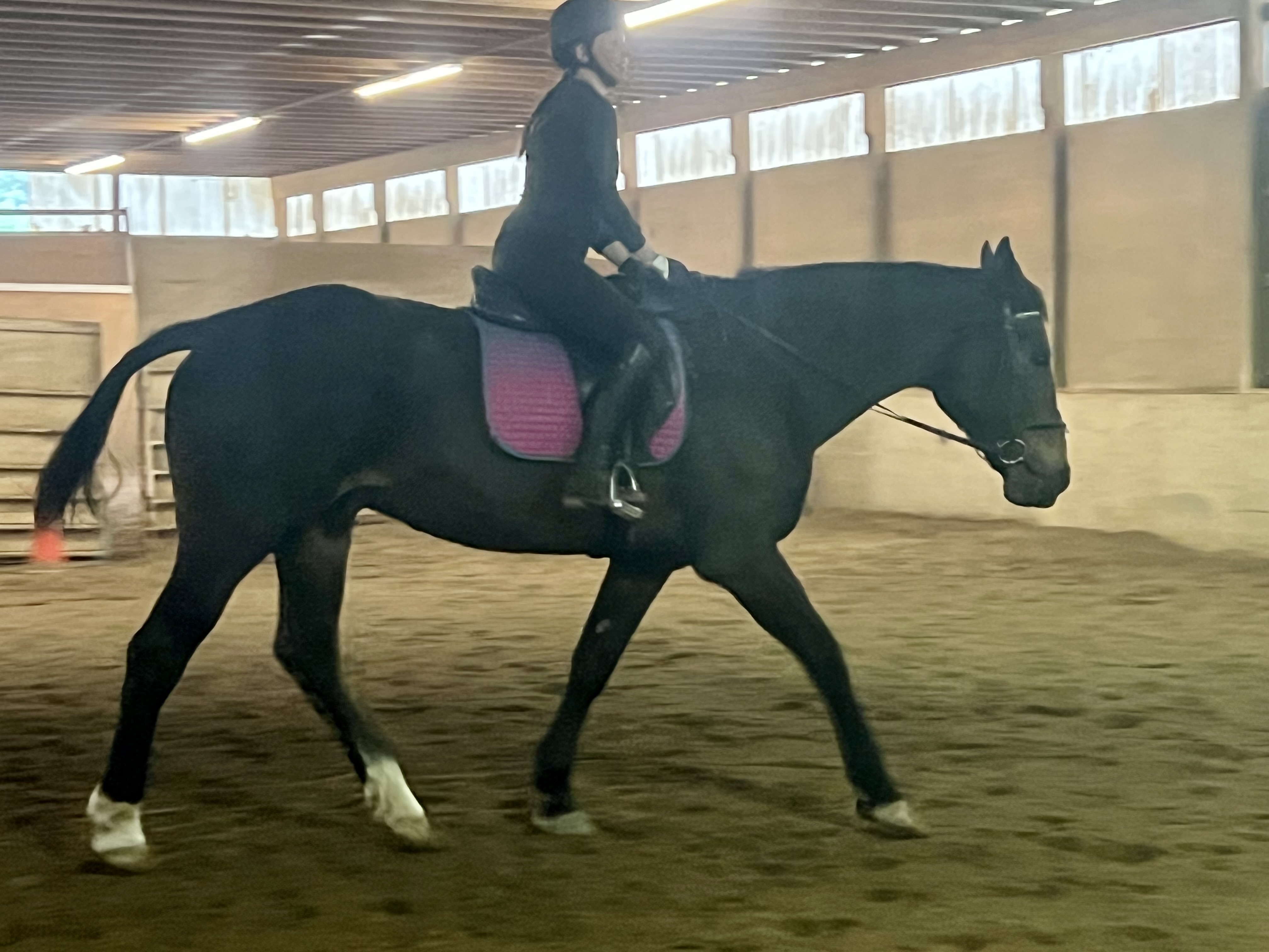Rider