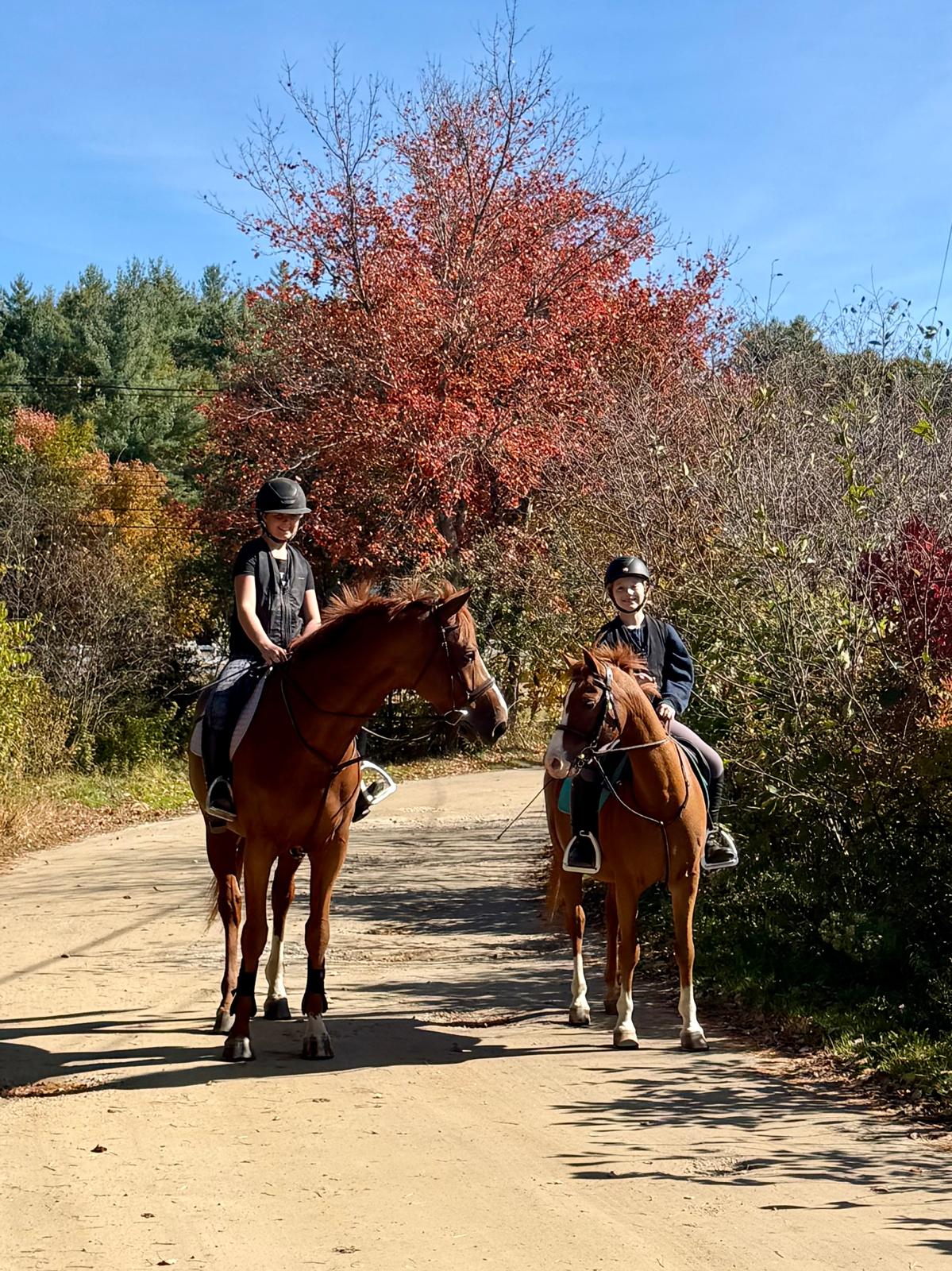 Fall day