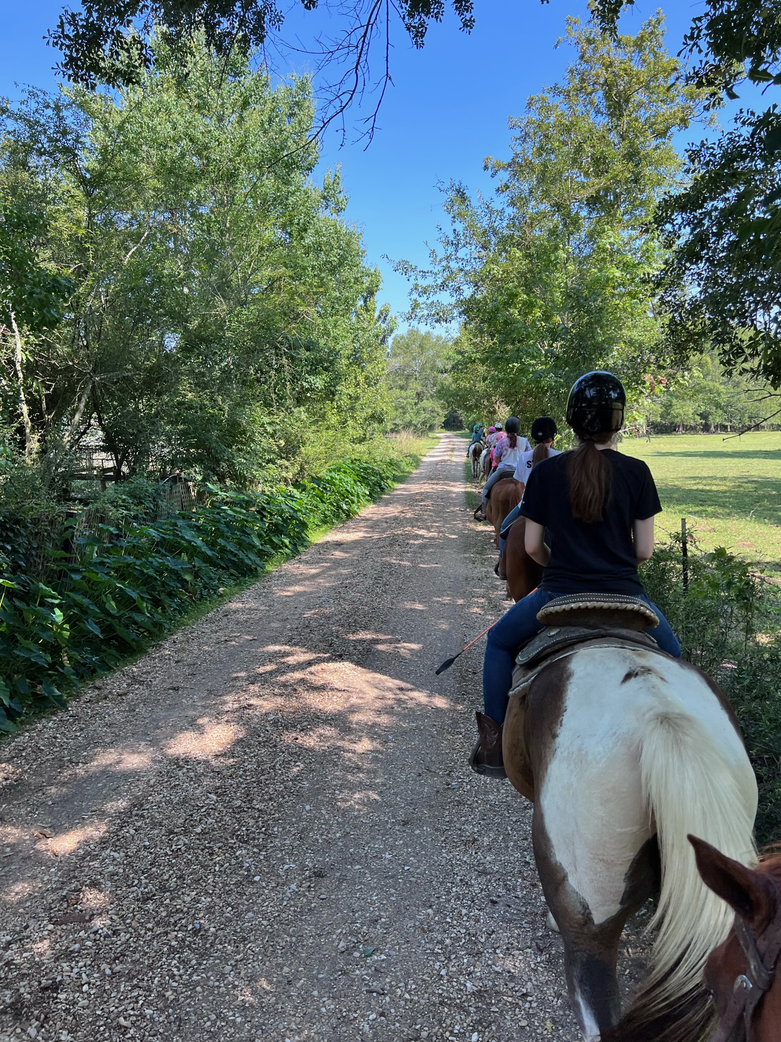 Trail riders