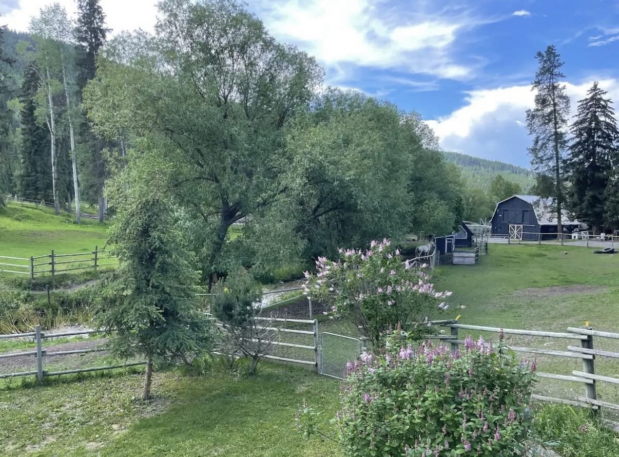 View of the walkway, part of a field, and the badn