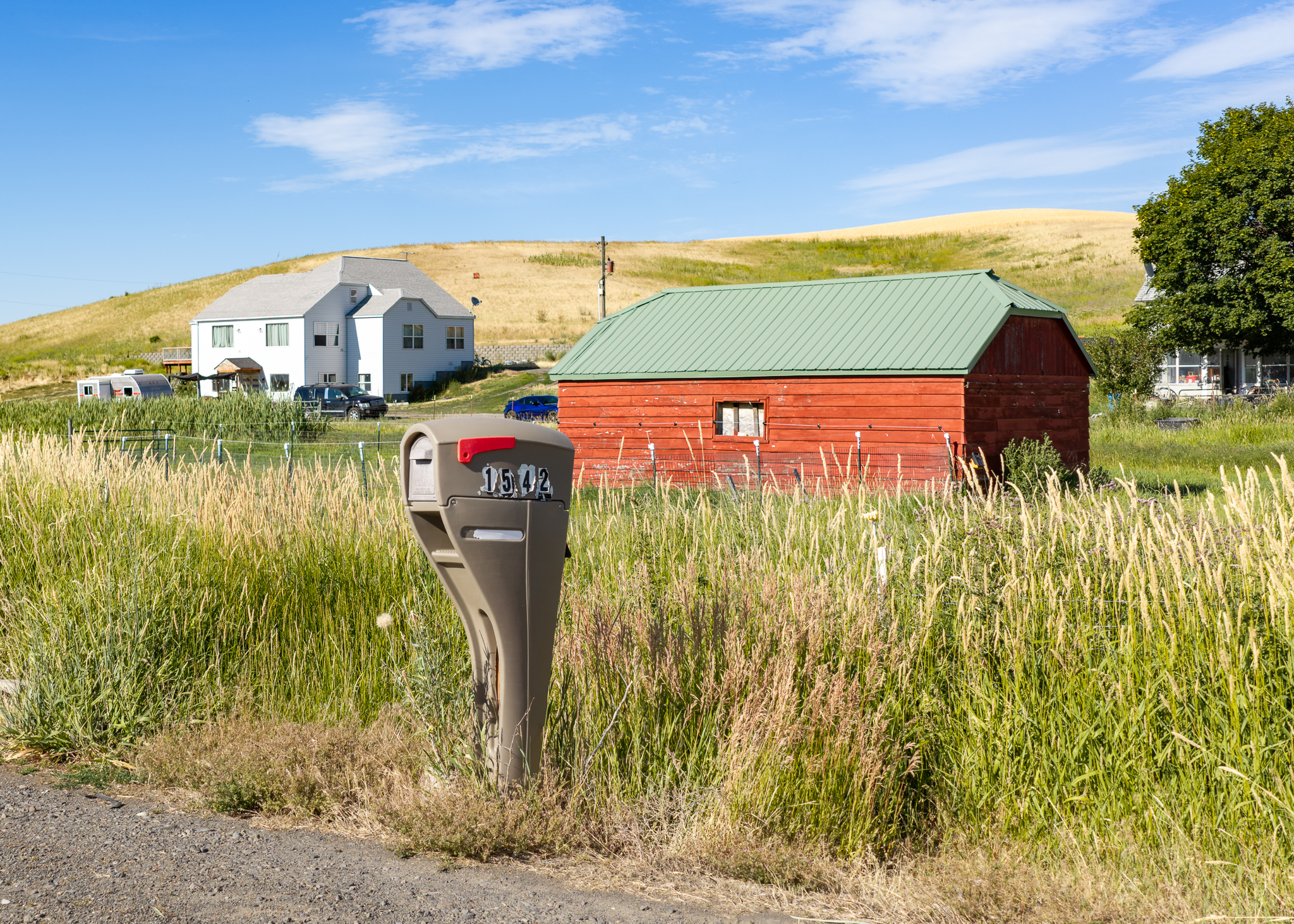Frisson Farm 7