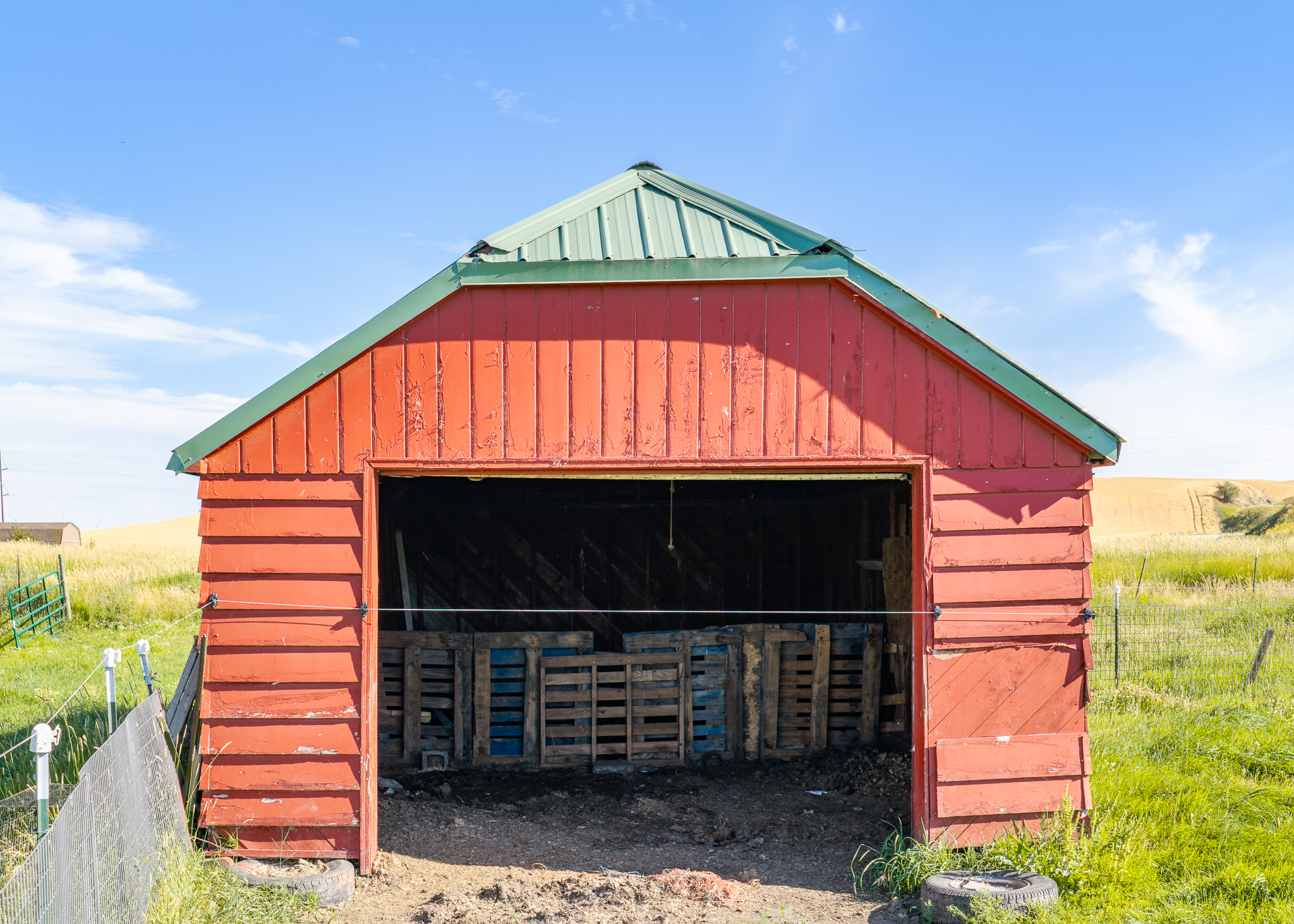 Frisson Farm 6