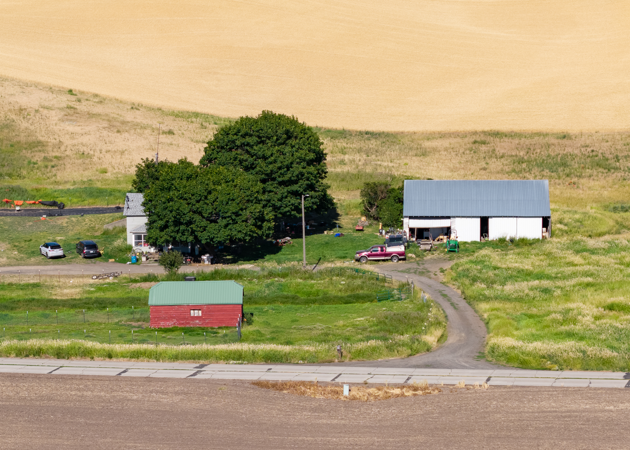 Frisson Farm 2