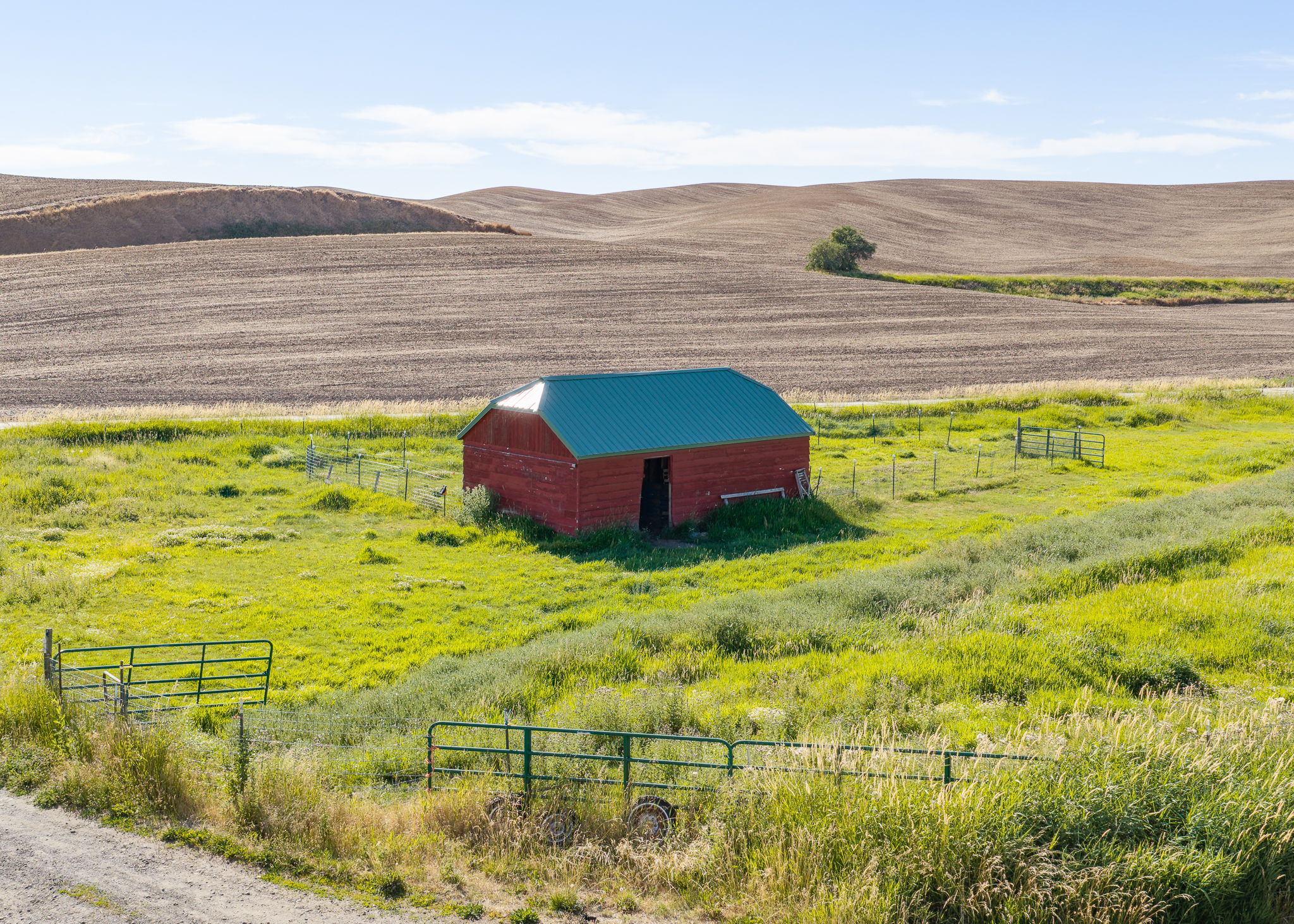 Frisson Farm 10