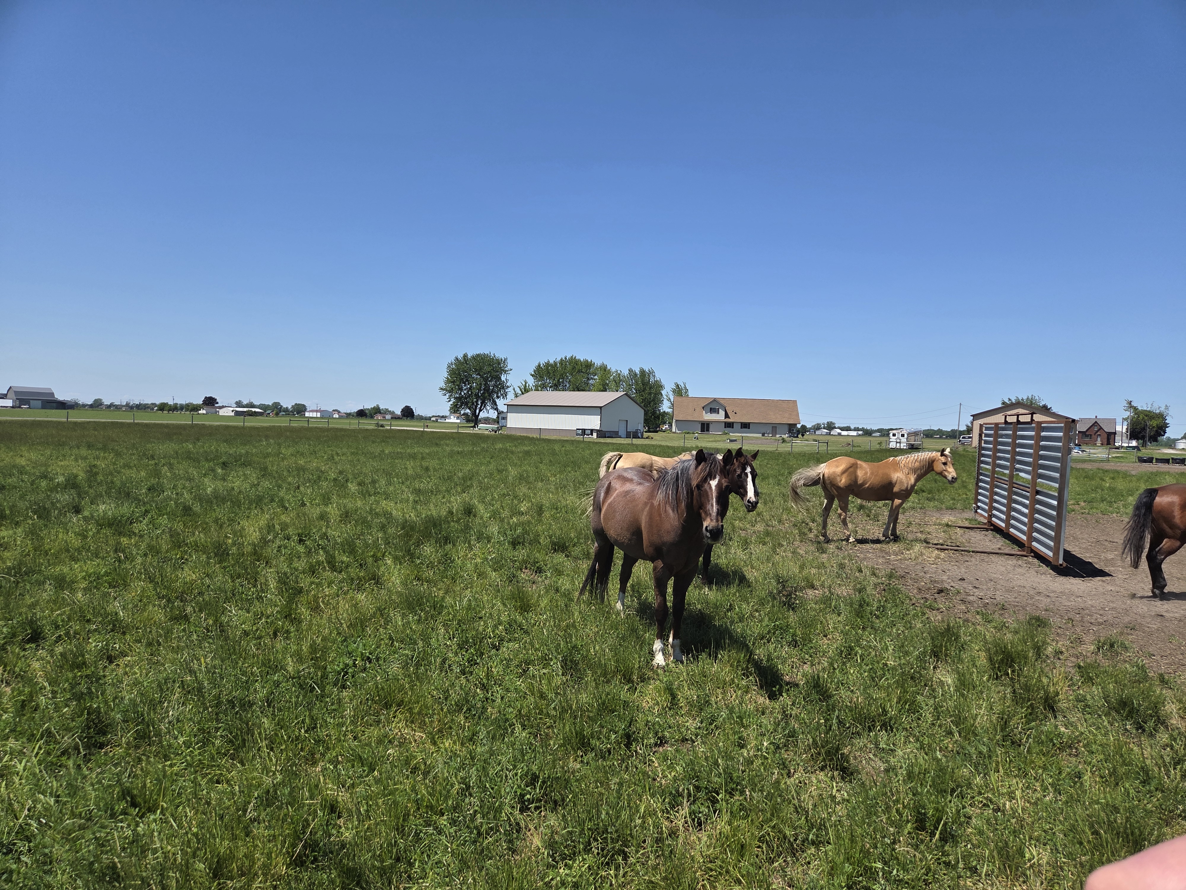 Pasture