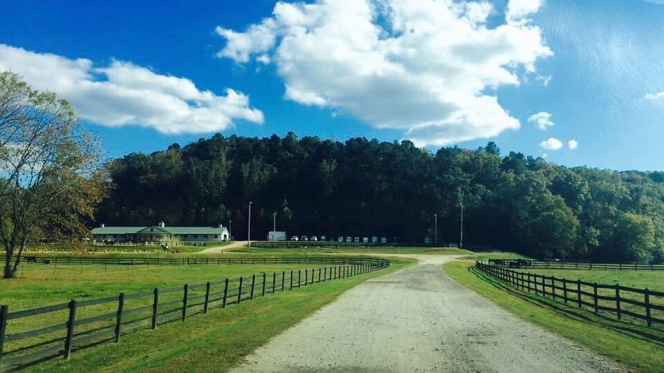 Foxberry Farm — where green pastures meet blue skies and quiet mornings stretch forever.